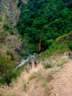 A small group hiking through lush green hills near Garut, with a guide pointing out native plants.