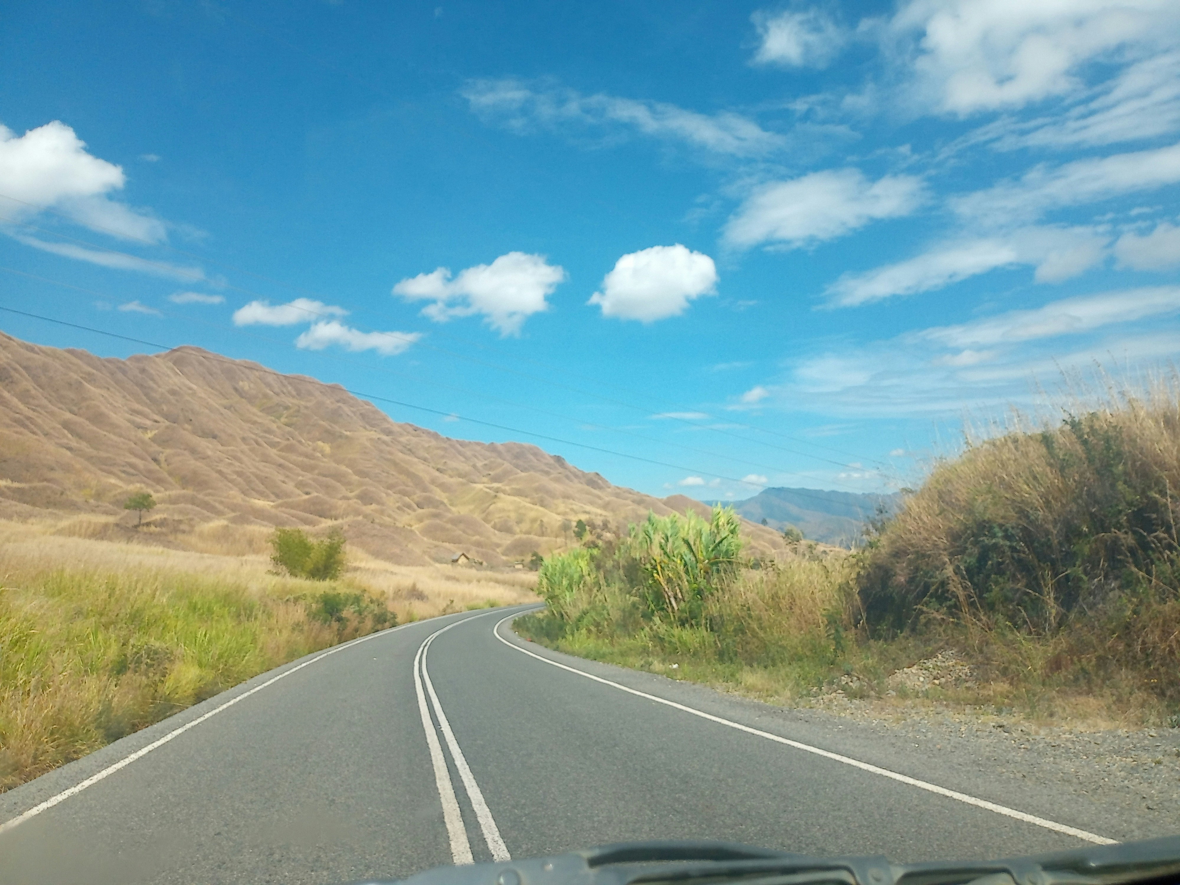 a road with bushes on the side