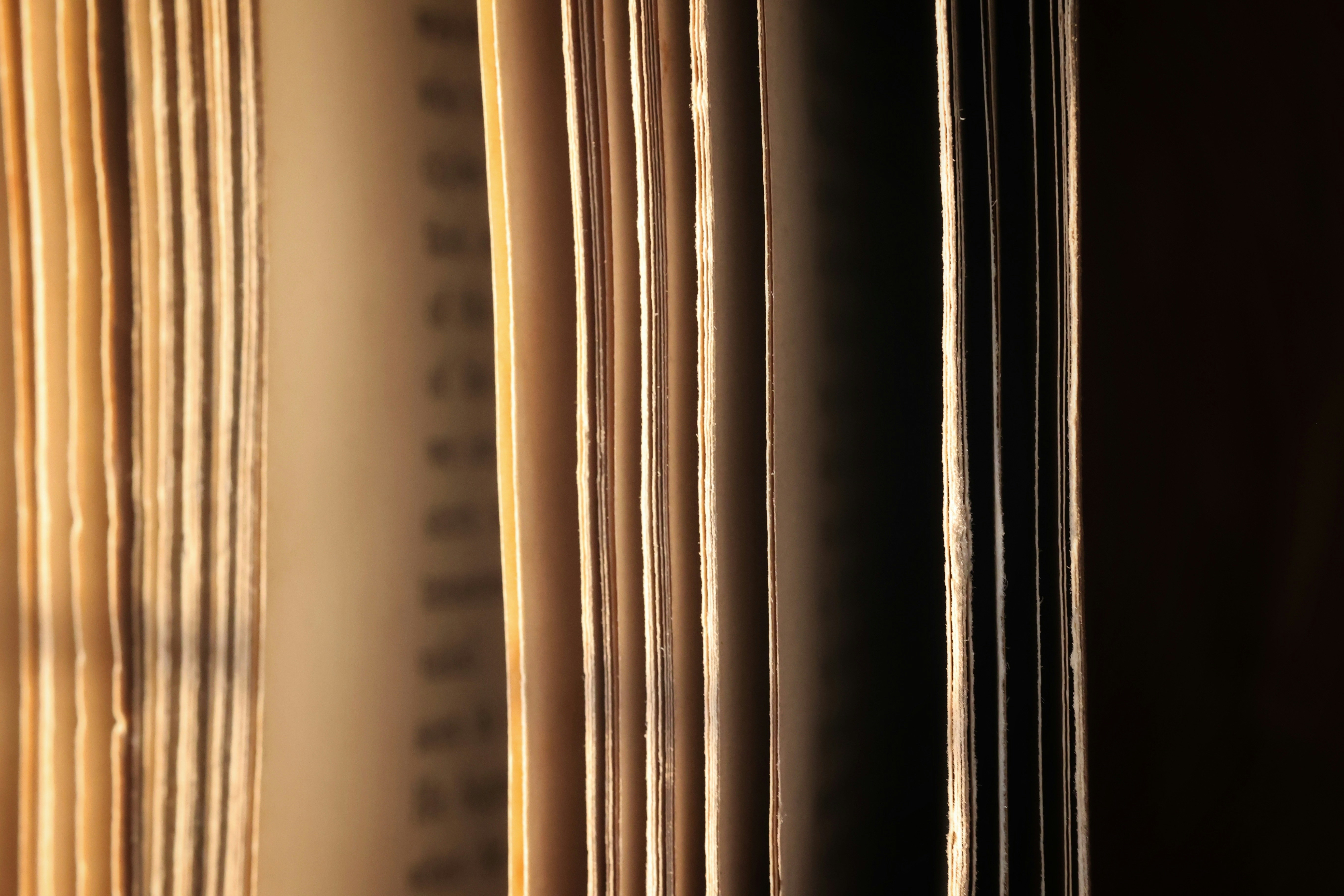 Photo by joshua_hoehne