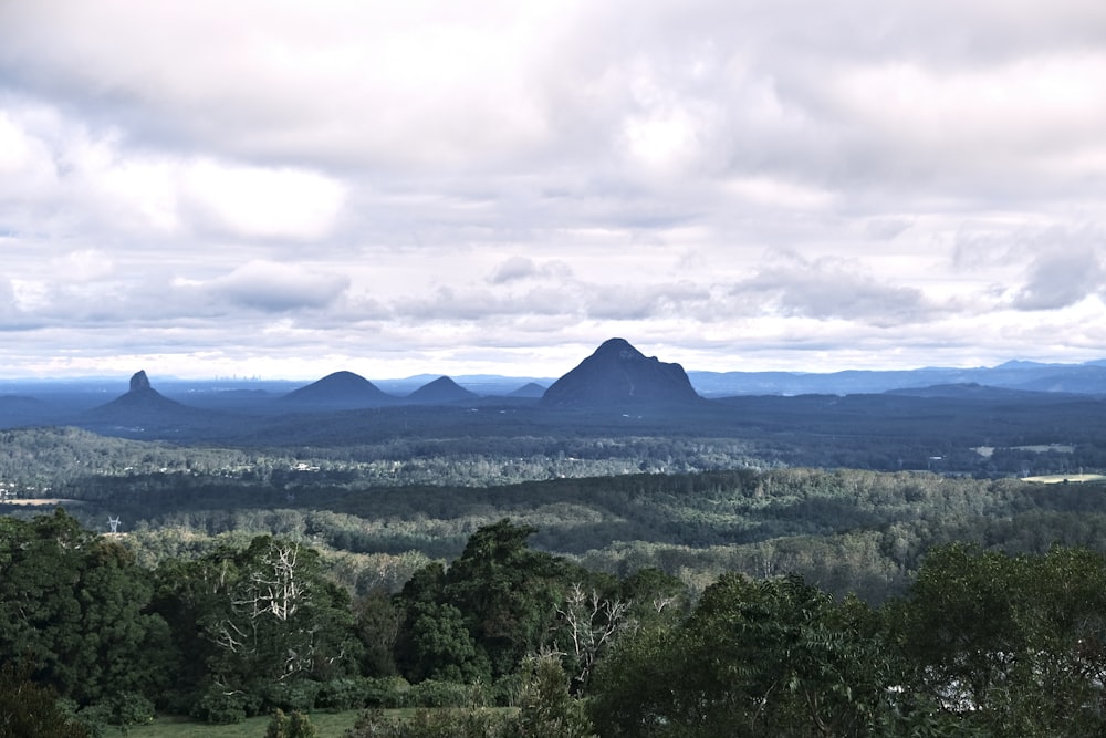 a landscape with trees and mountains in the background