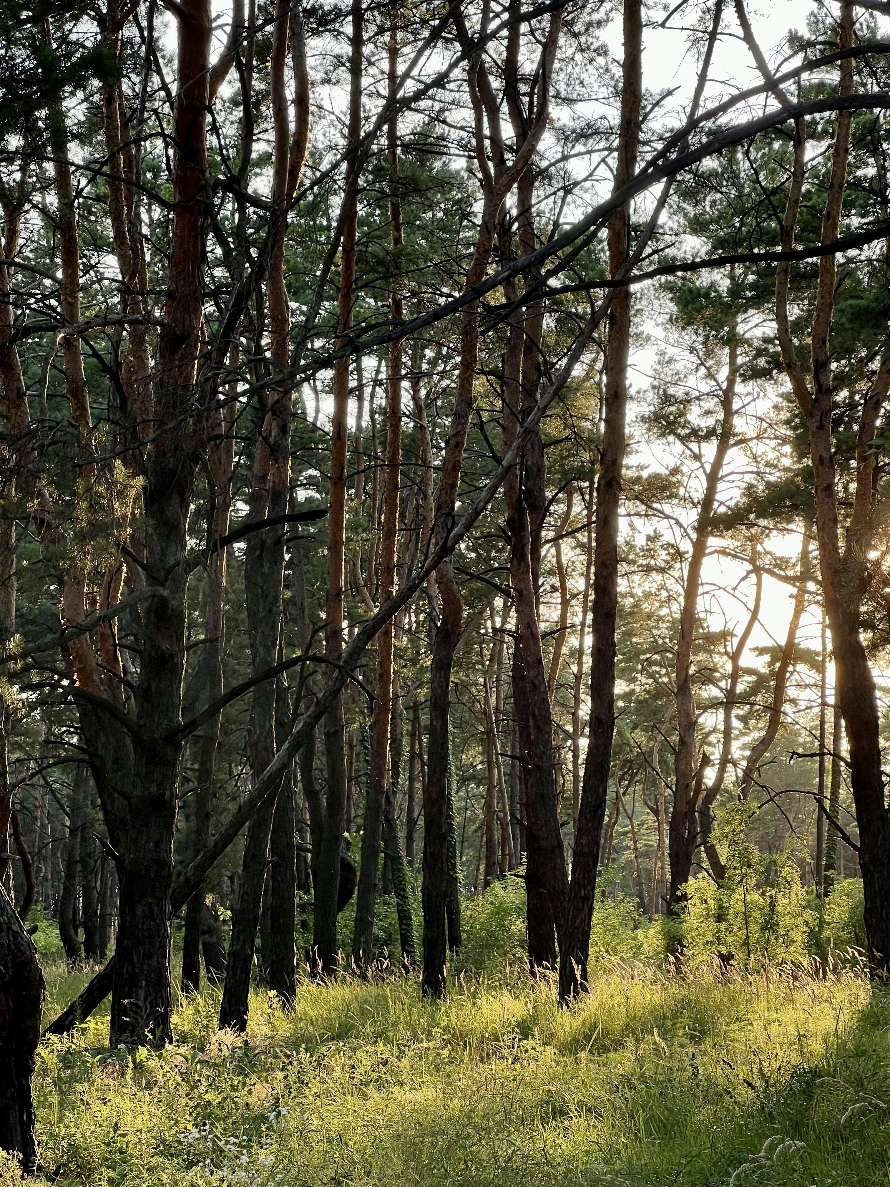 Photo by pictures_of_ukraine