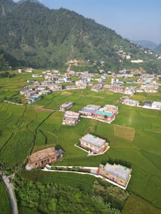 Aerial view of a rural village surrounded by lush green fields and hills. Houses are scattered throughout the landscape, with vibrant colors and distinct rooftops. The backdrop is a large, forested hill, creating a serene and natural setting.