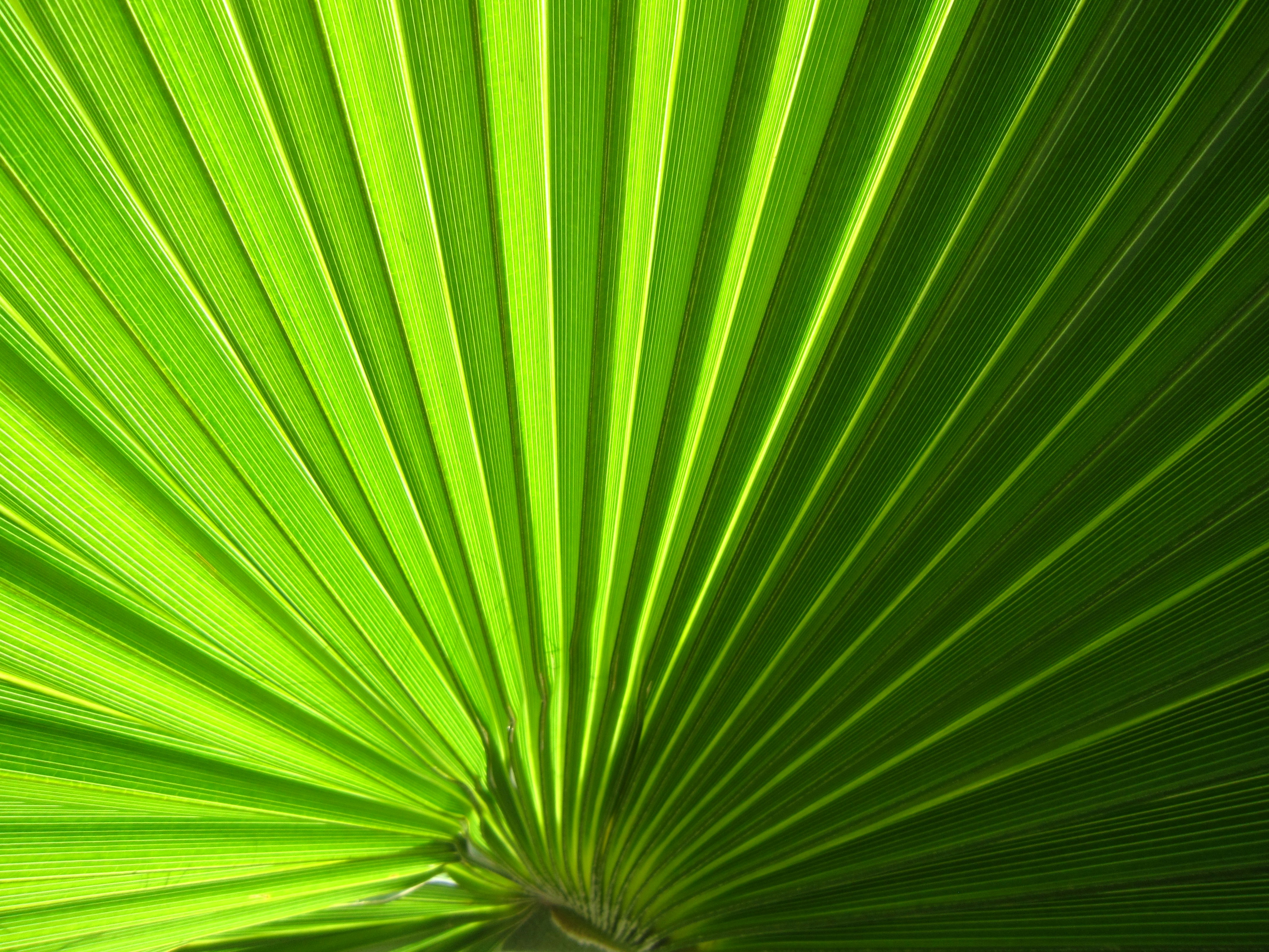 Photo by kouroshbrzgr