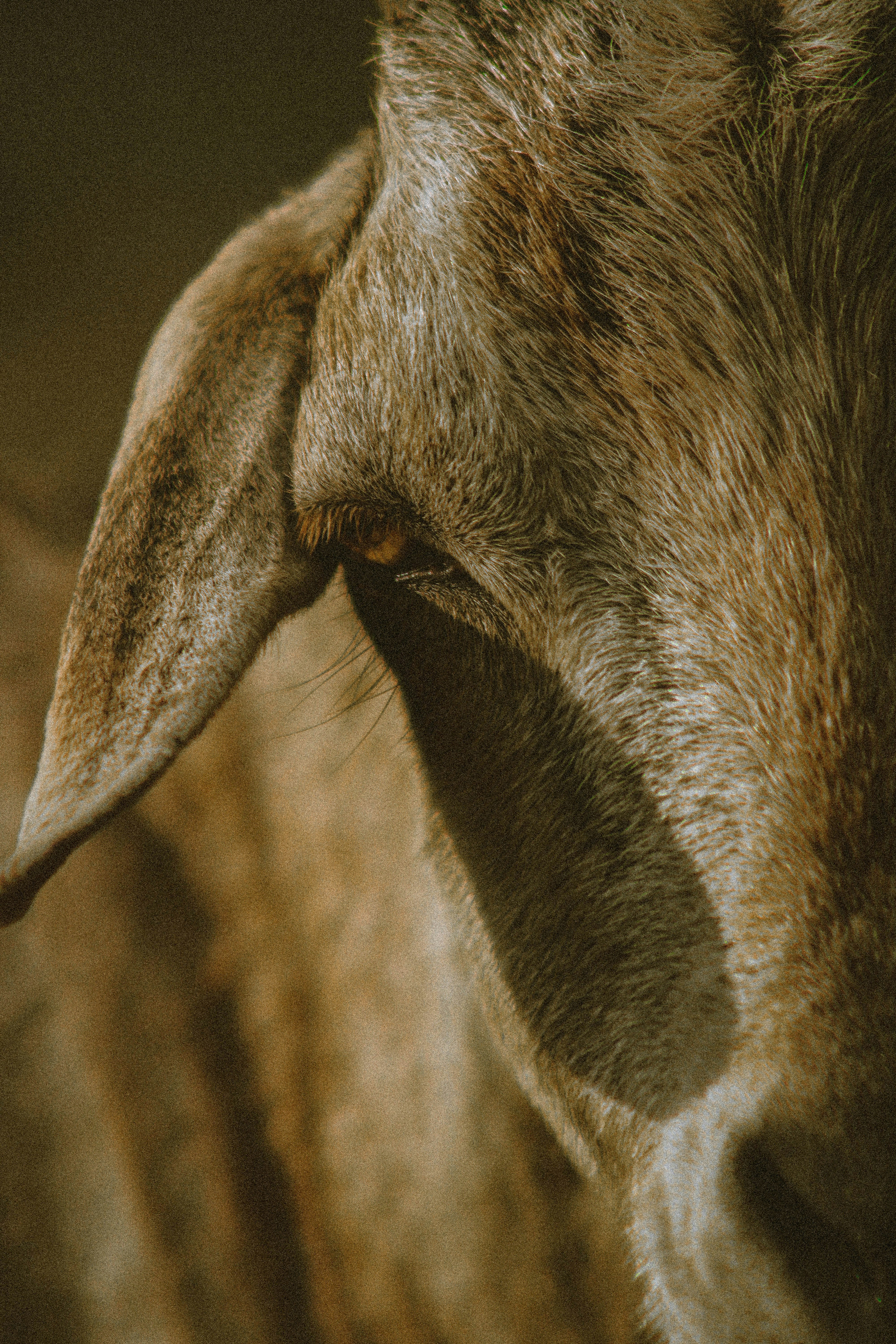 Photo by gideon_karanja