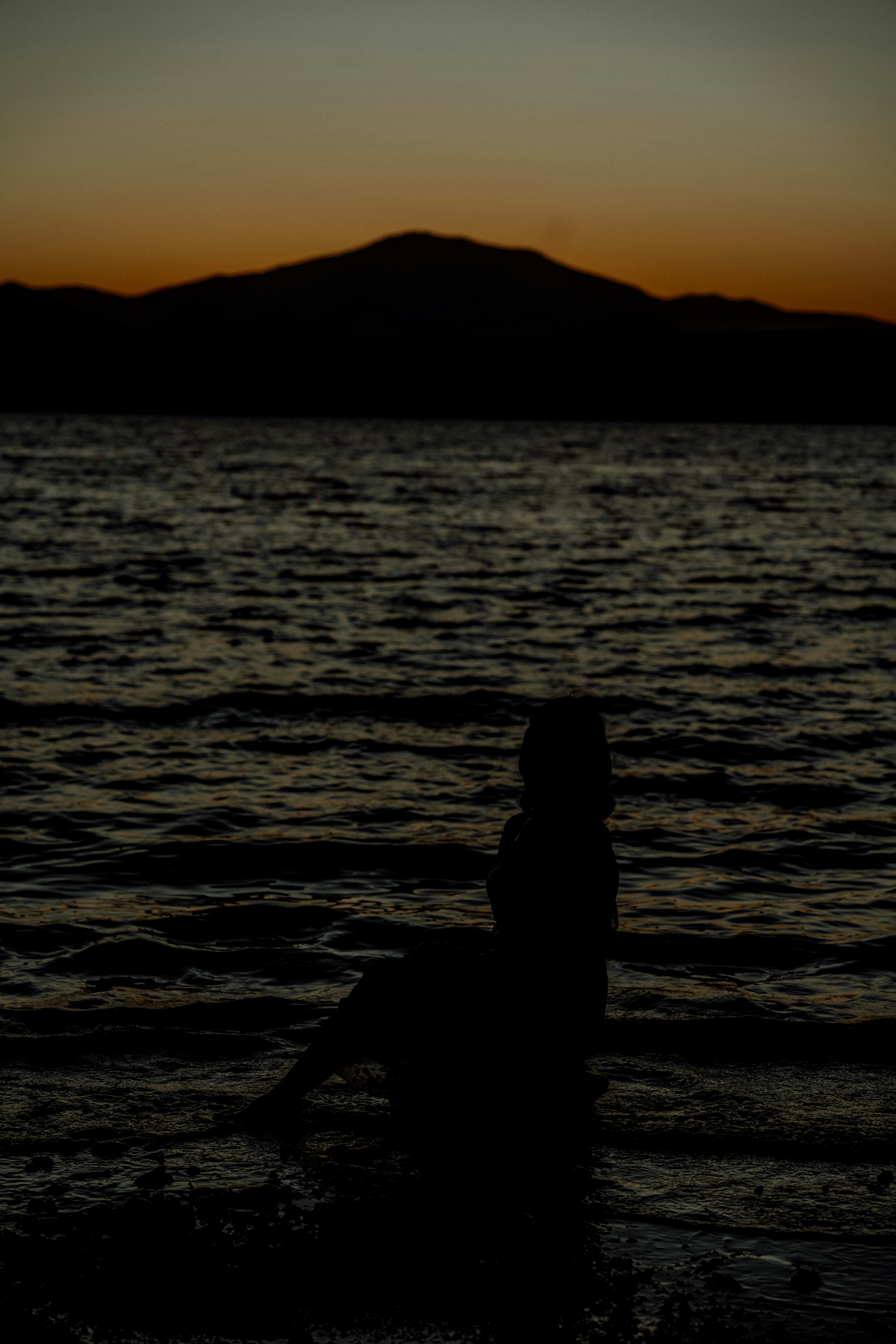 Photo by dariush_rad
