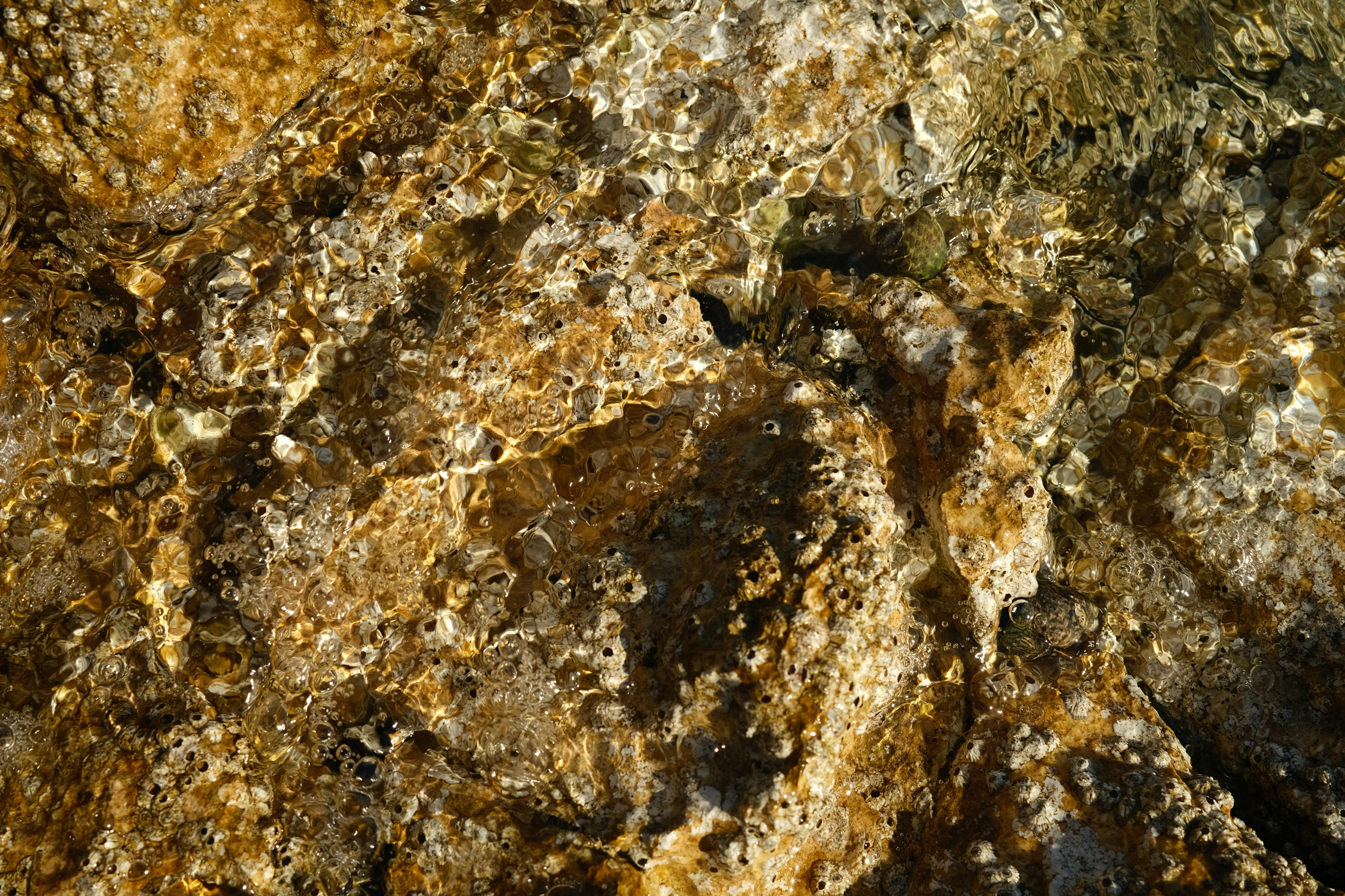 Photo by orcinusorca