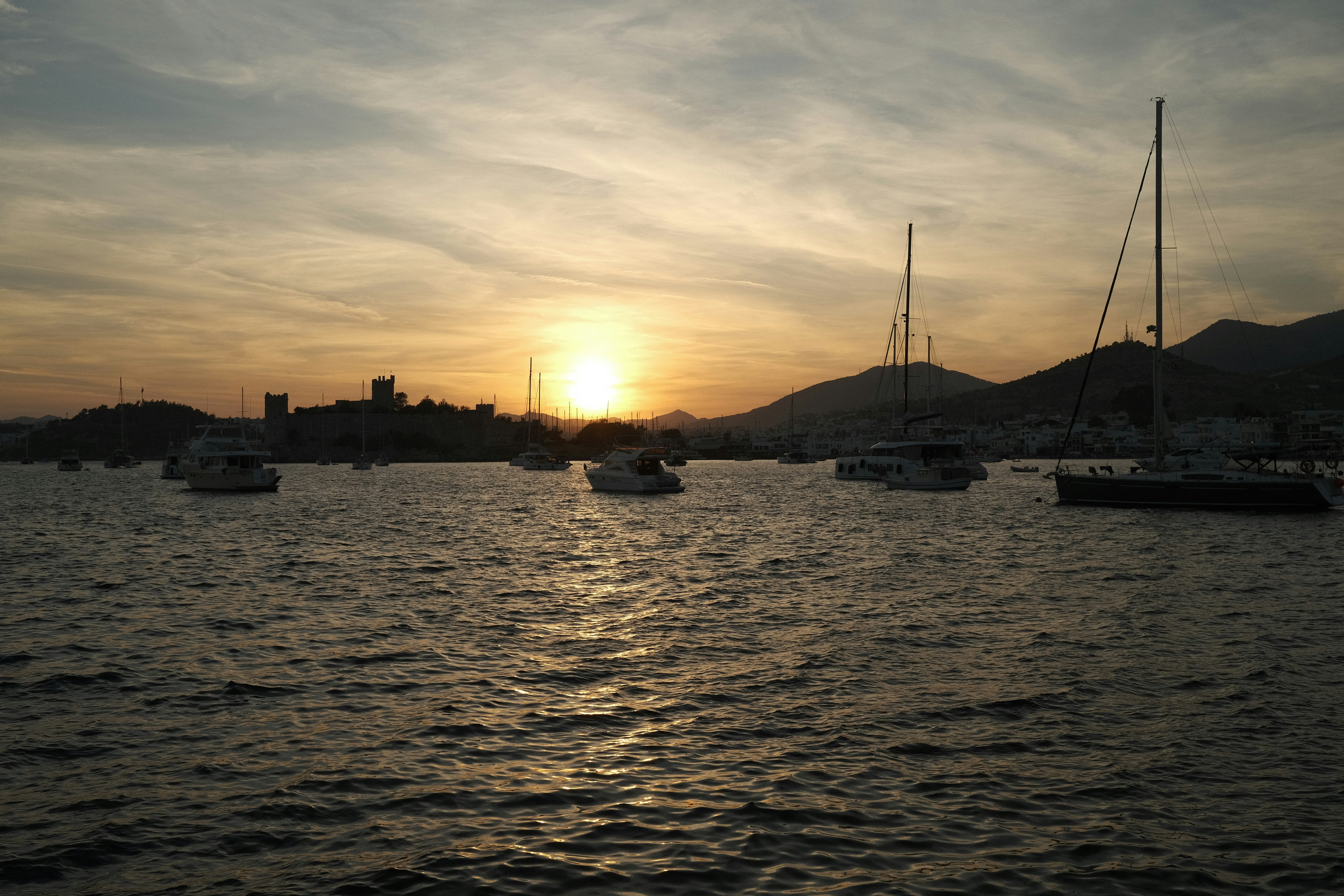 Photo by orcinusorca