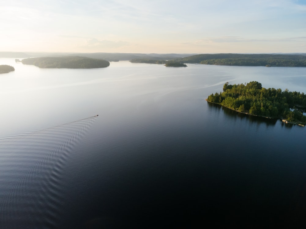 an island with trees in the water