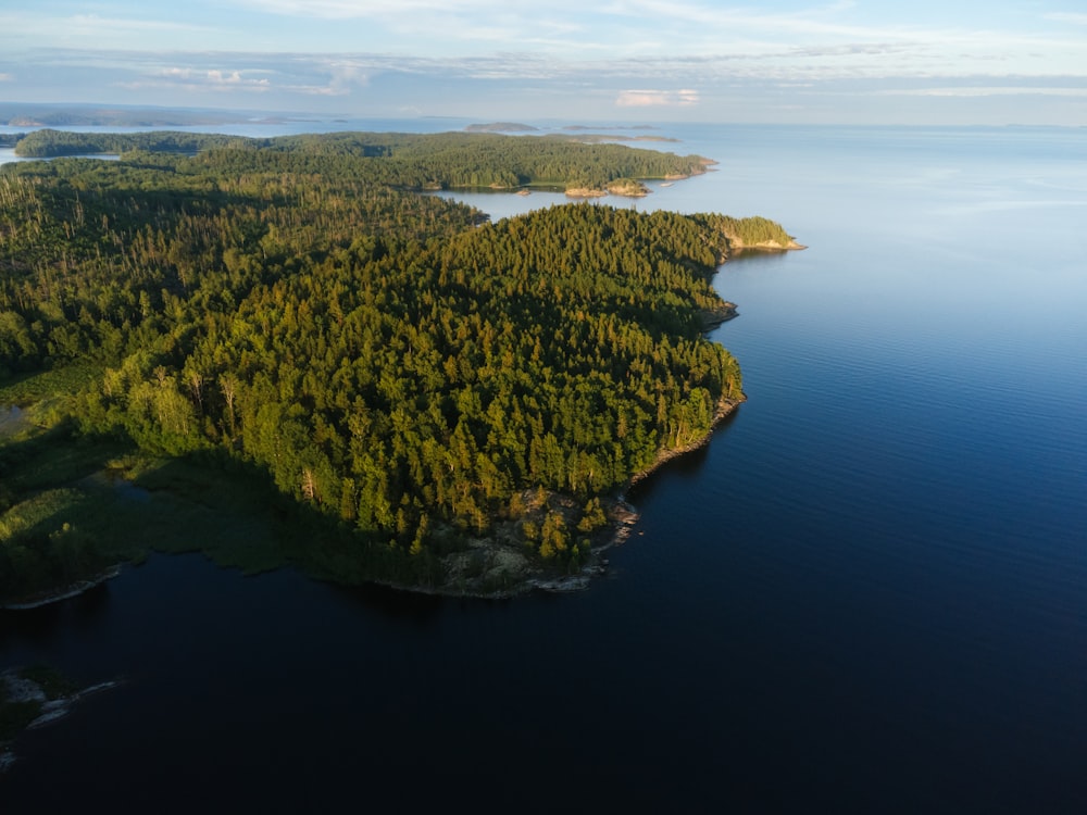 an island with trees and water