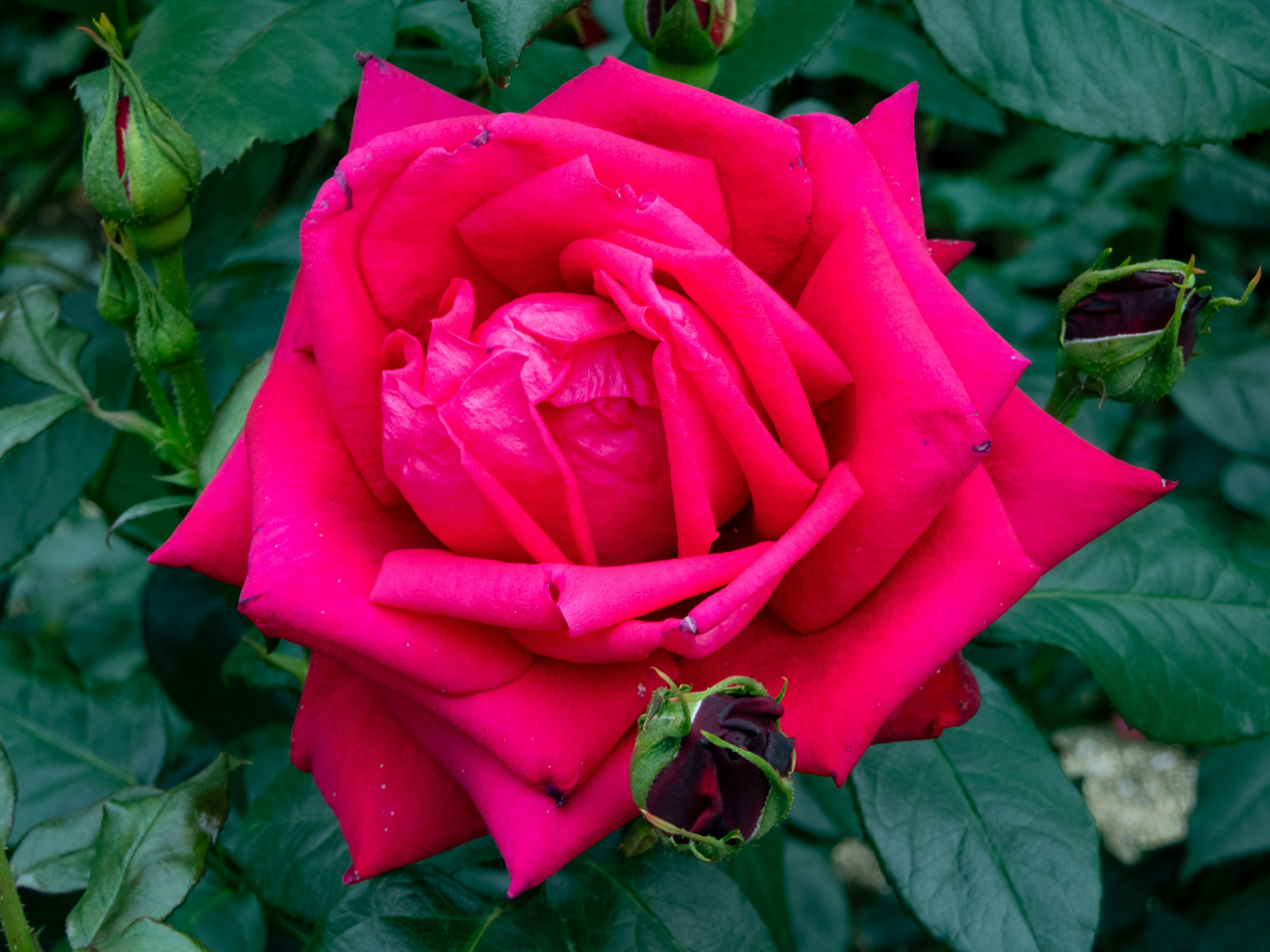 Photo by heppoko_yama