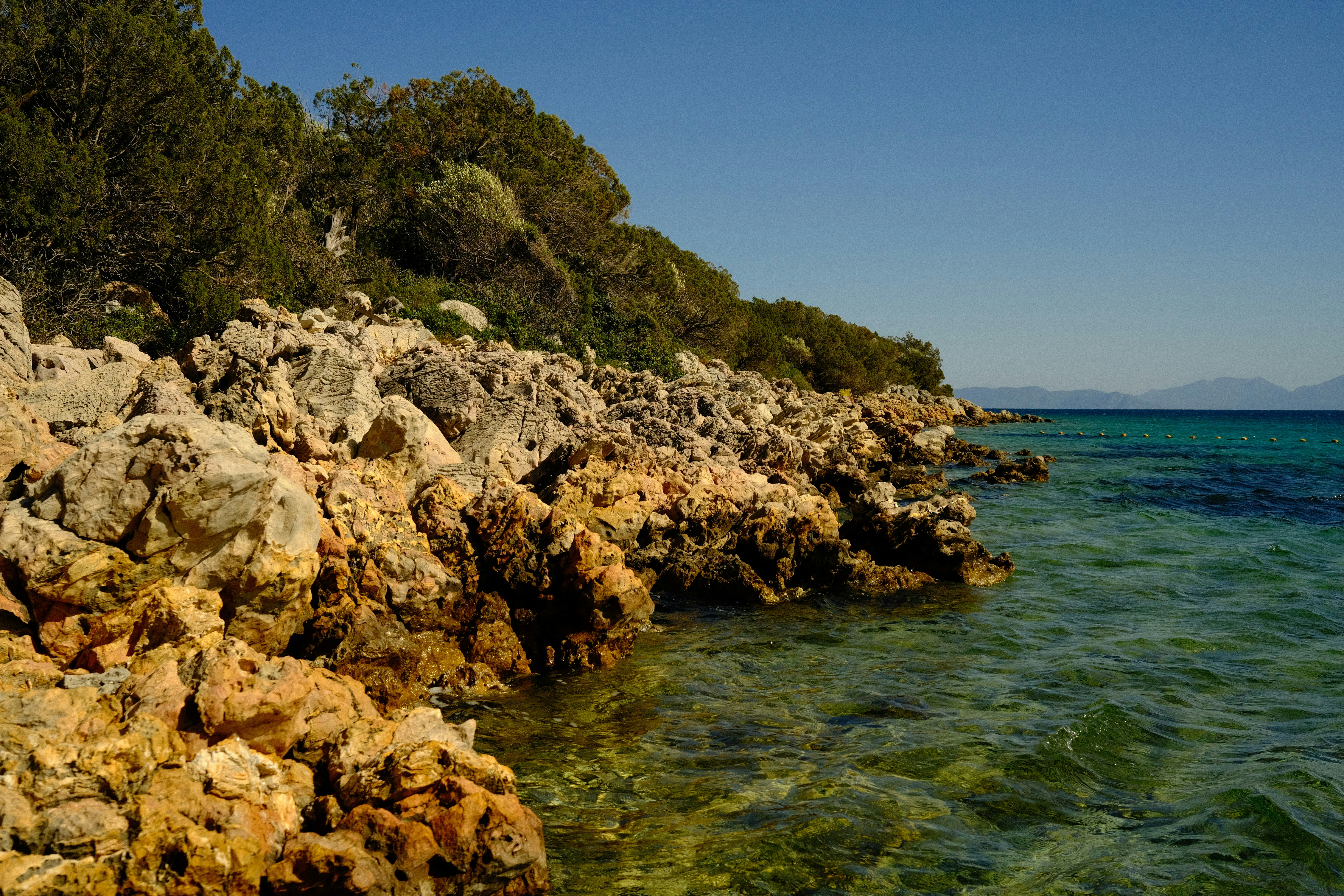 Photo by orcinusorca