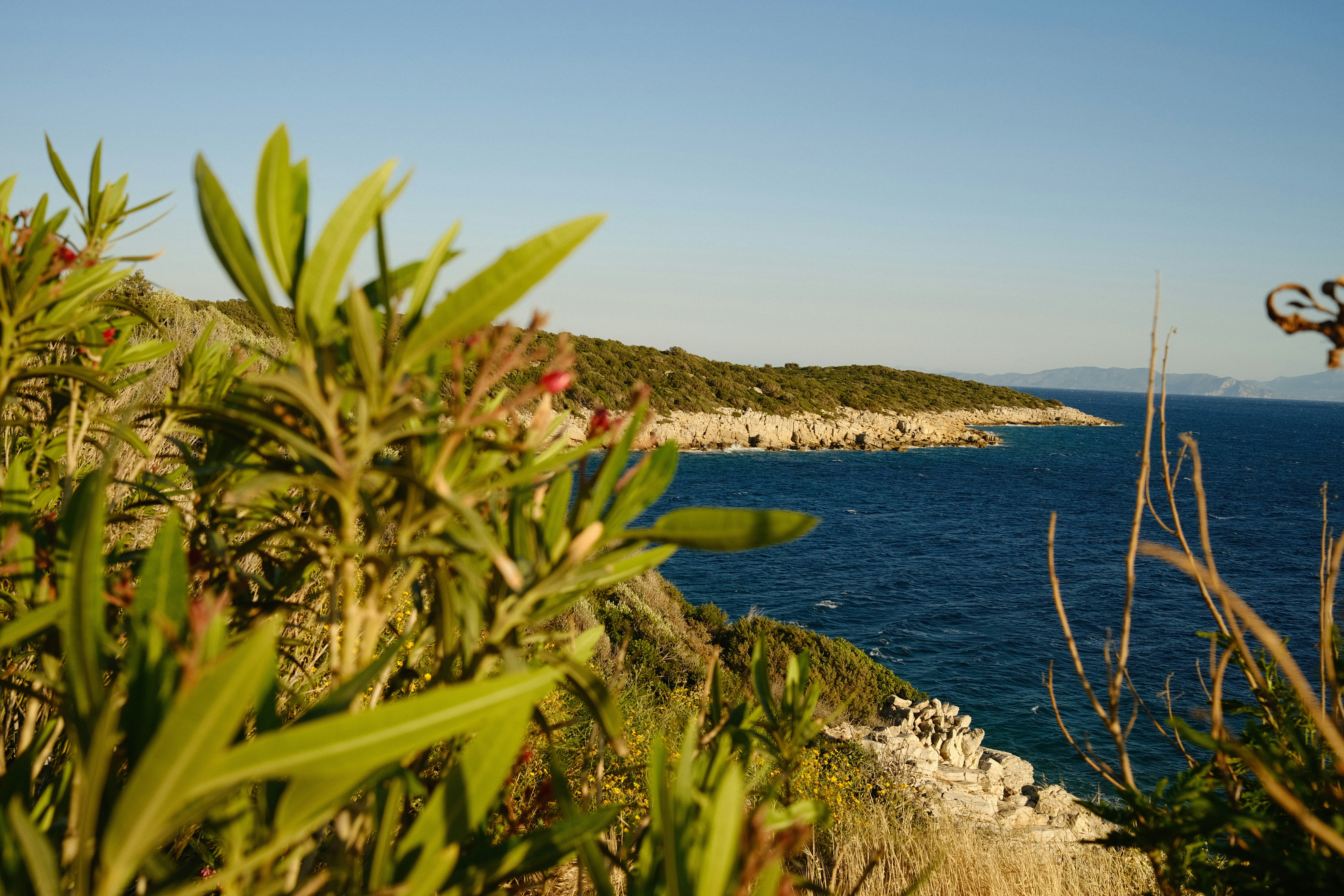 Photo by orcinusorca