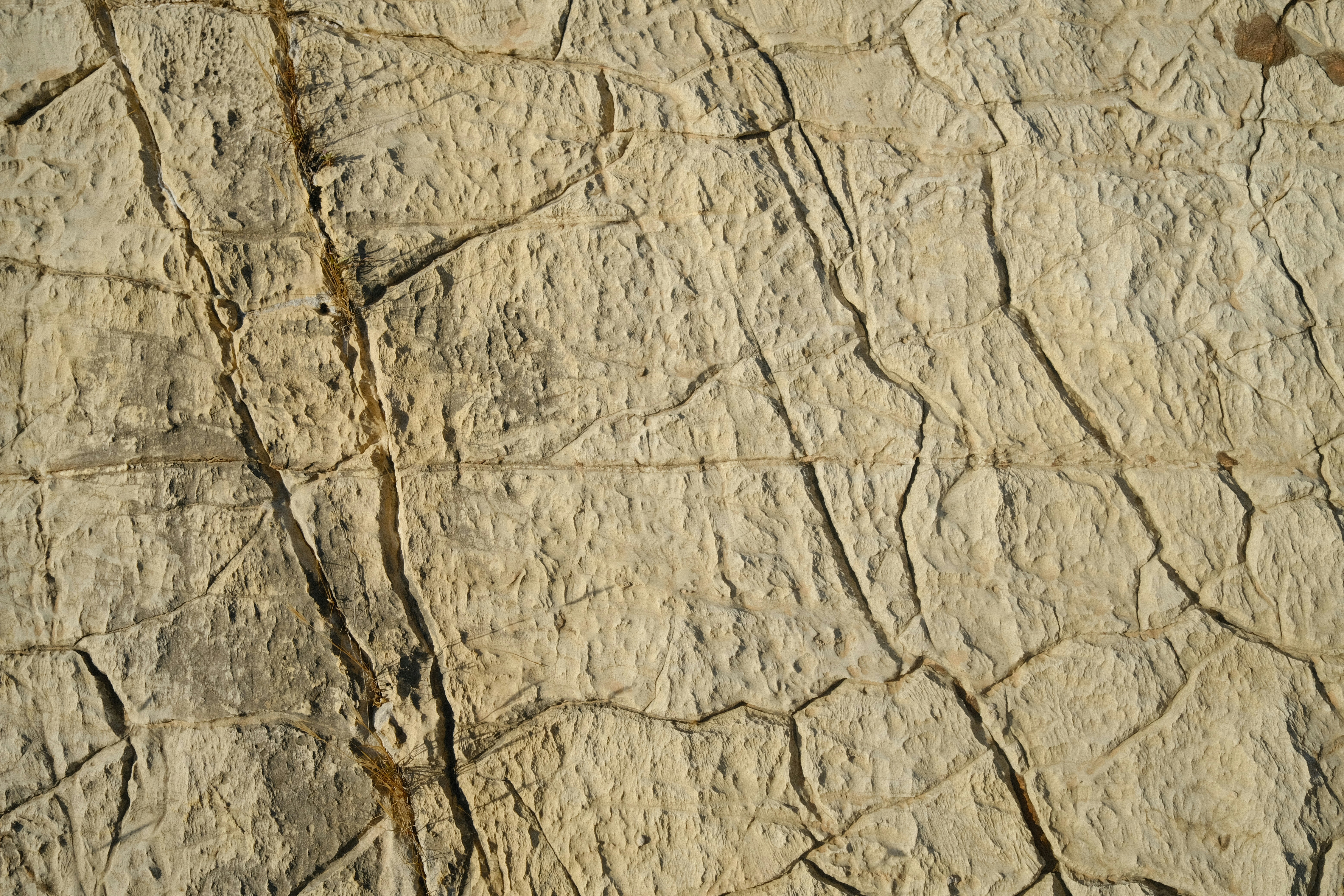 Photo by orcinusorca