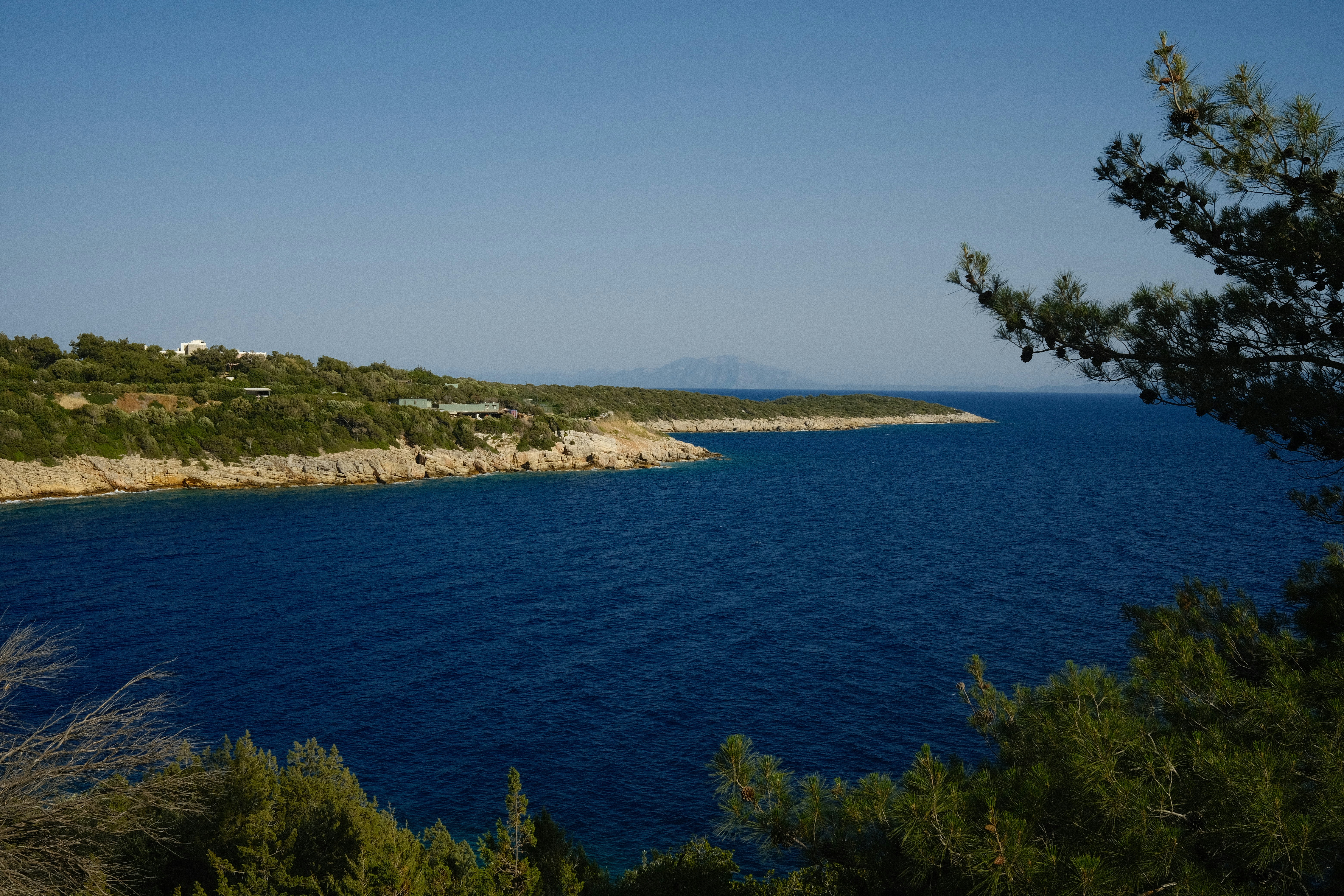 Photo by orcinusorca