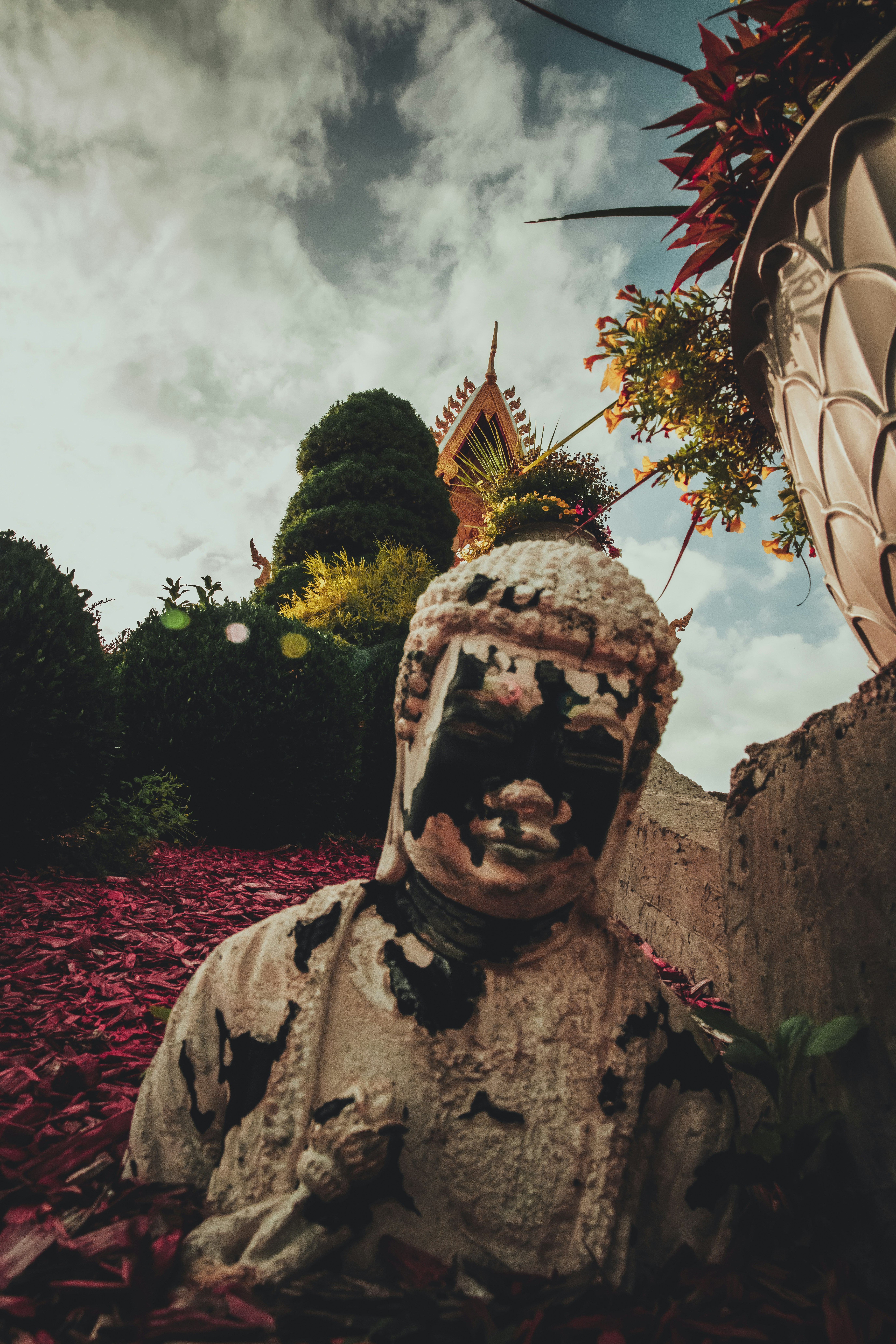 Photo by catparkerphoto