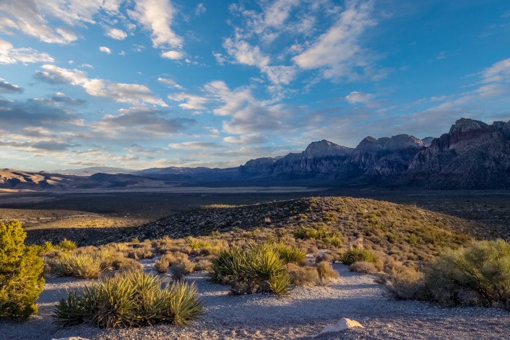 a desert landscape with mountains in the background