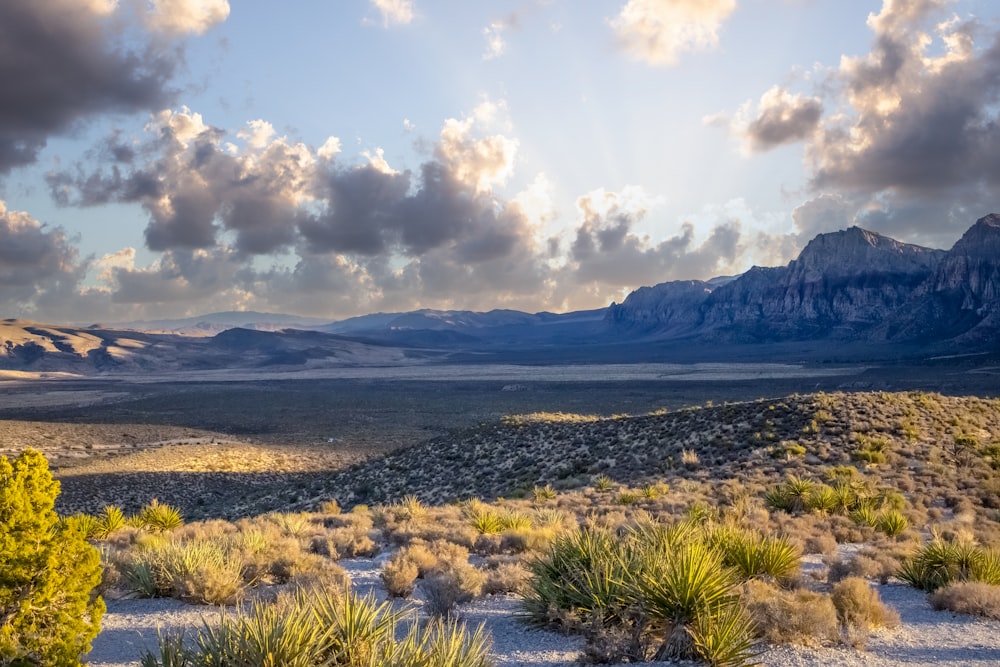 Un paisaje con montañas y árboles