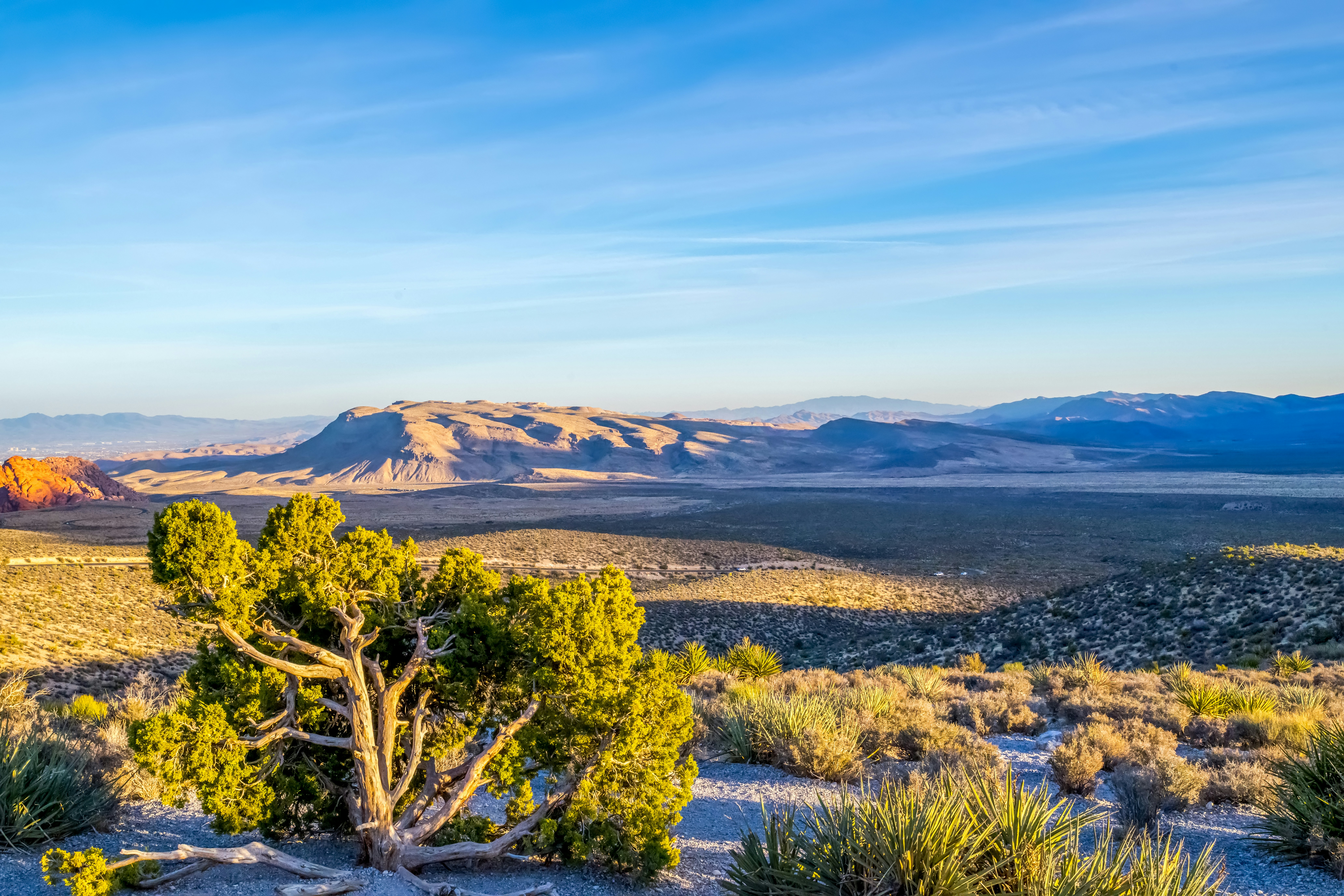 Photo by catparkerphoto