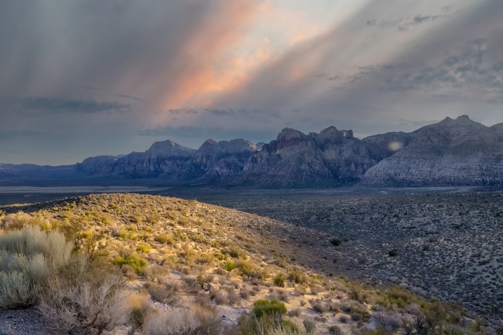 a landscape with mountains in the back