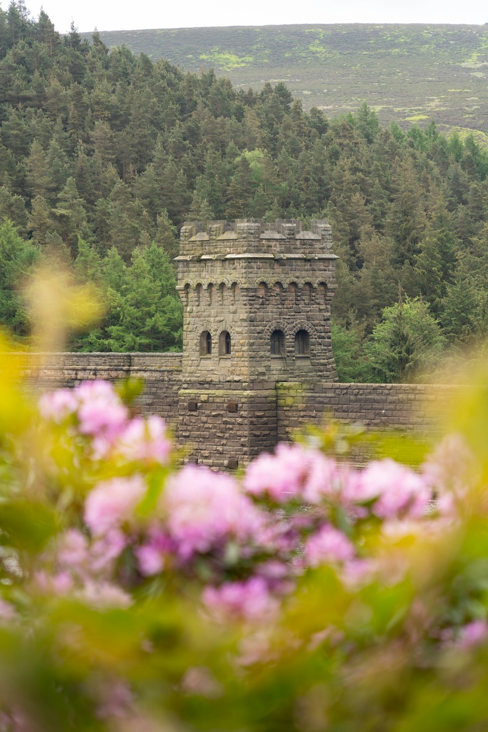 Un edificio de piedra con una torre rodeada de árboles