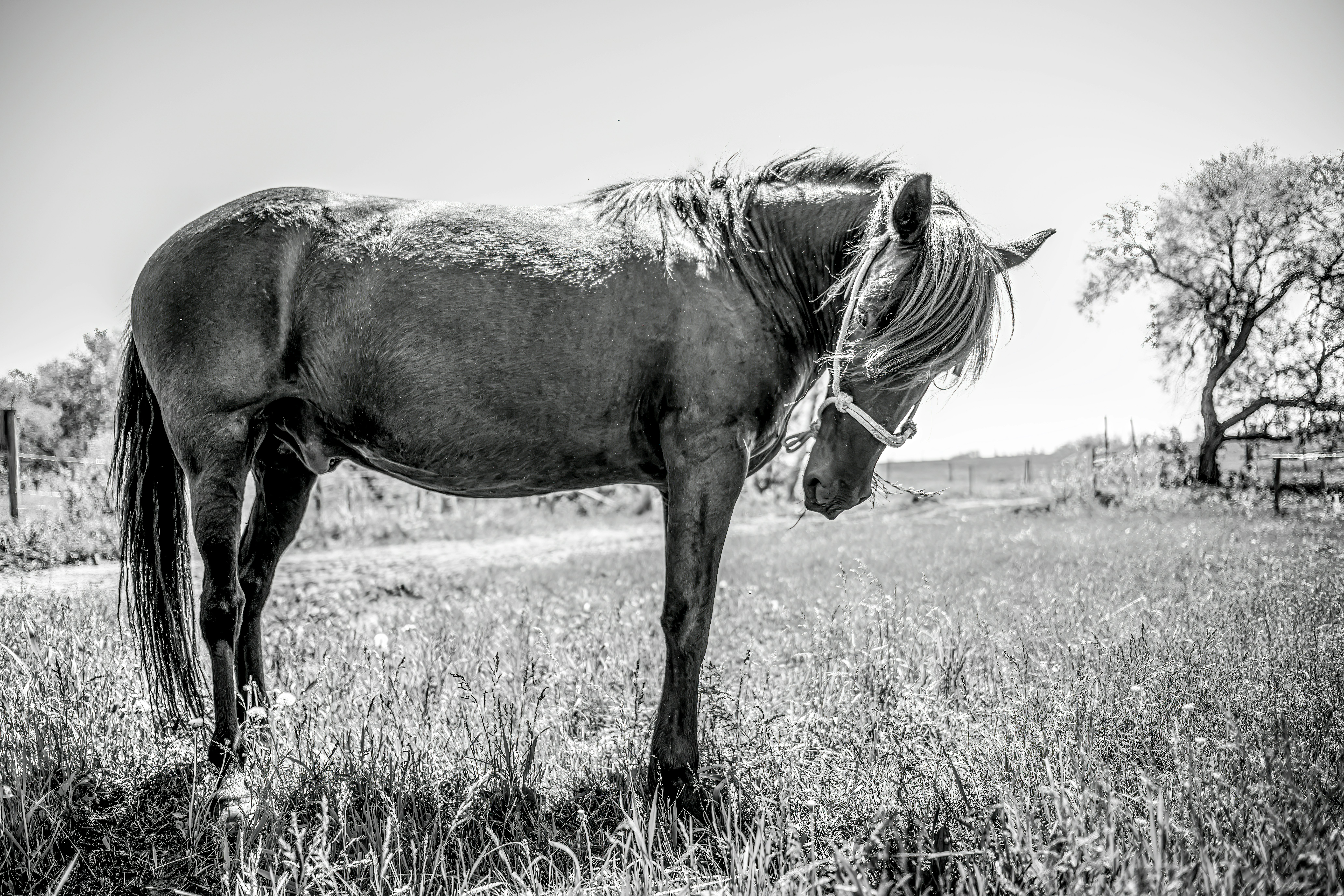 Photo by catparkerphoto