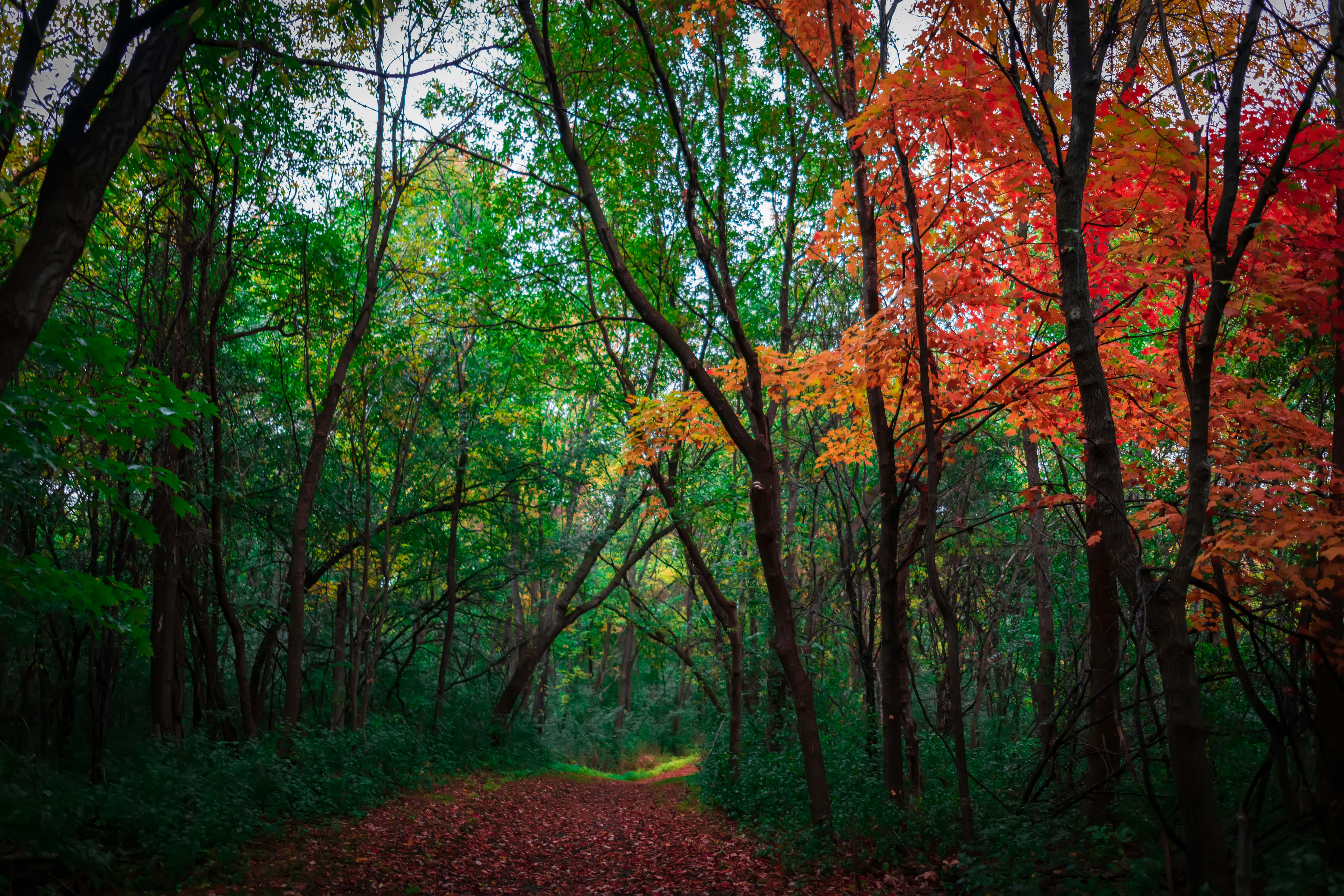 Photo by catparkerphoto