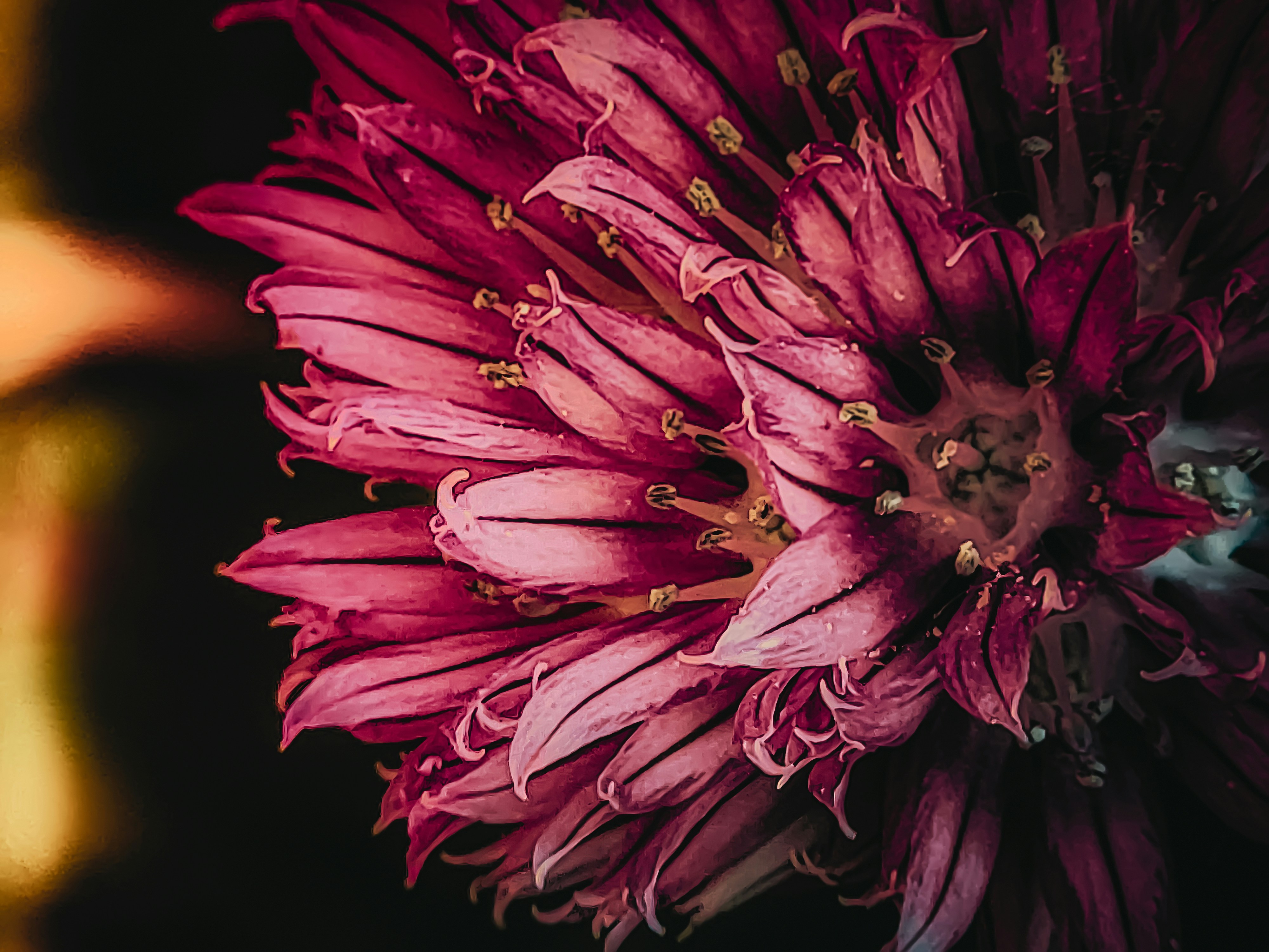 Photo by catparkerphoto