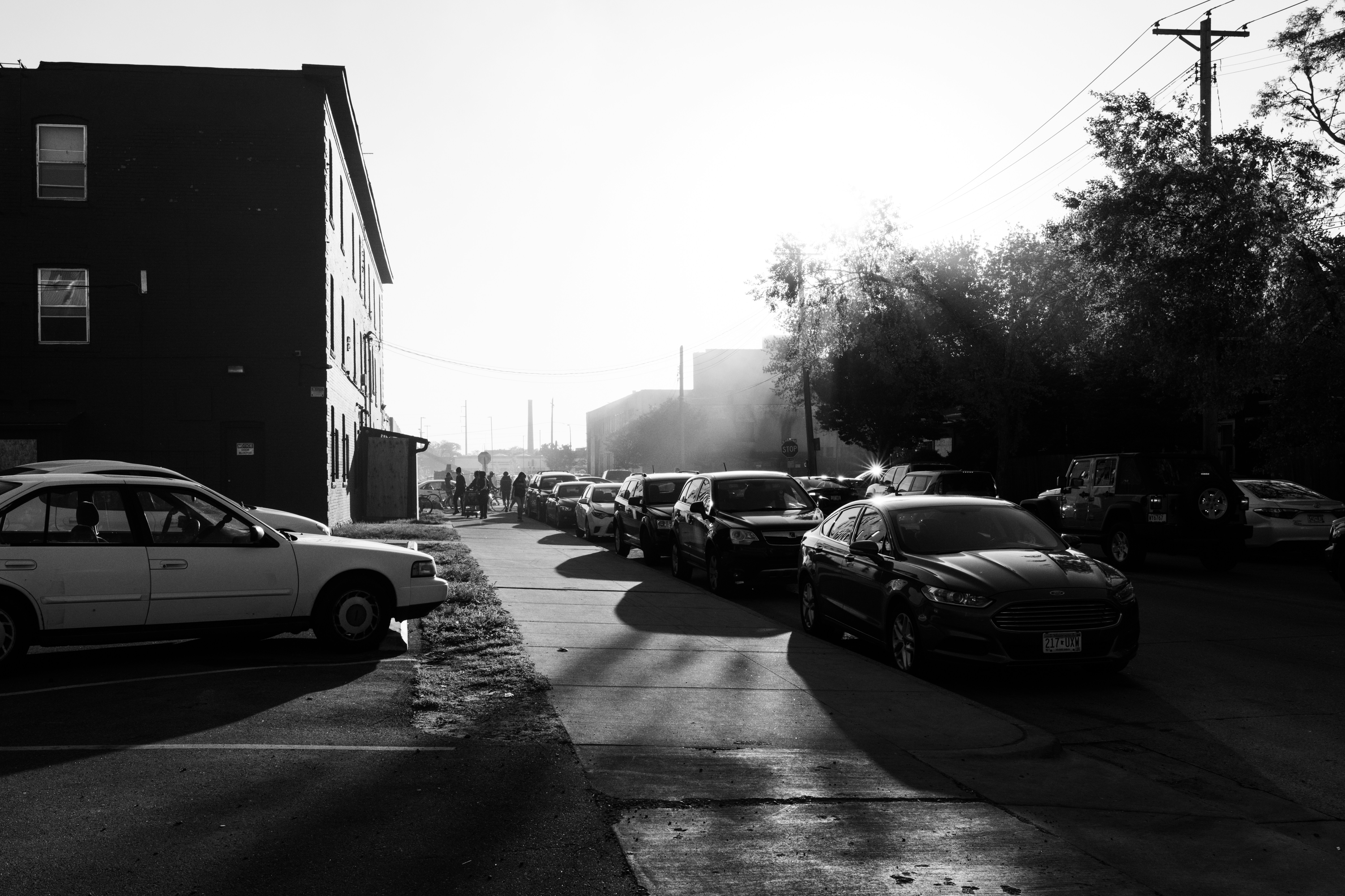 Photo by catparkerphoto