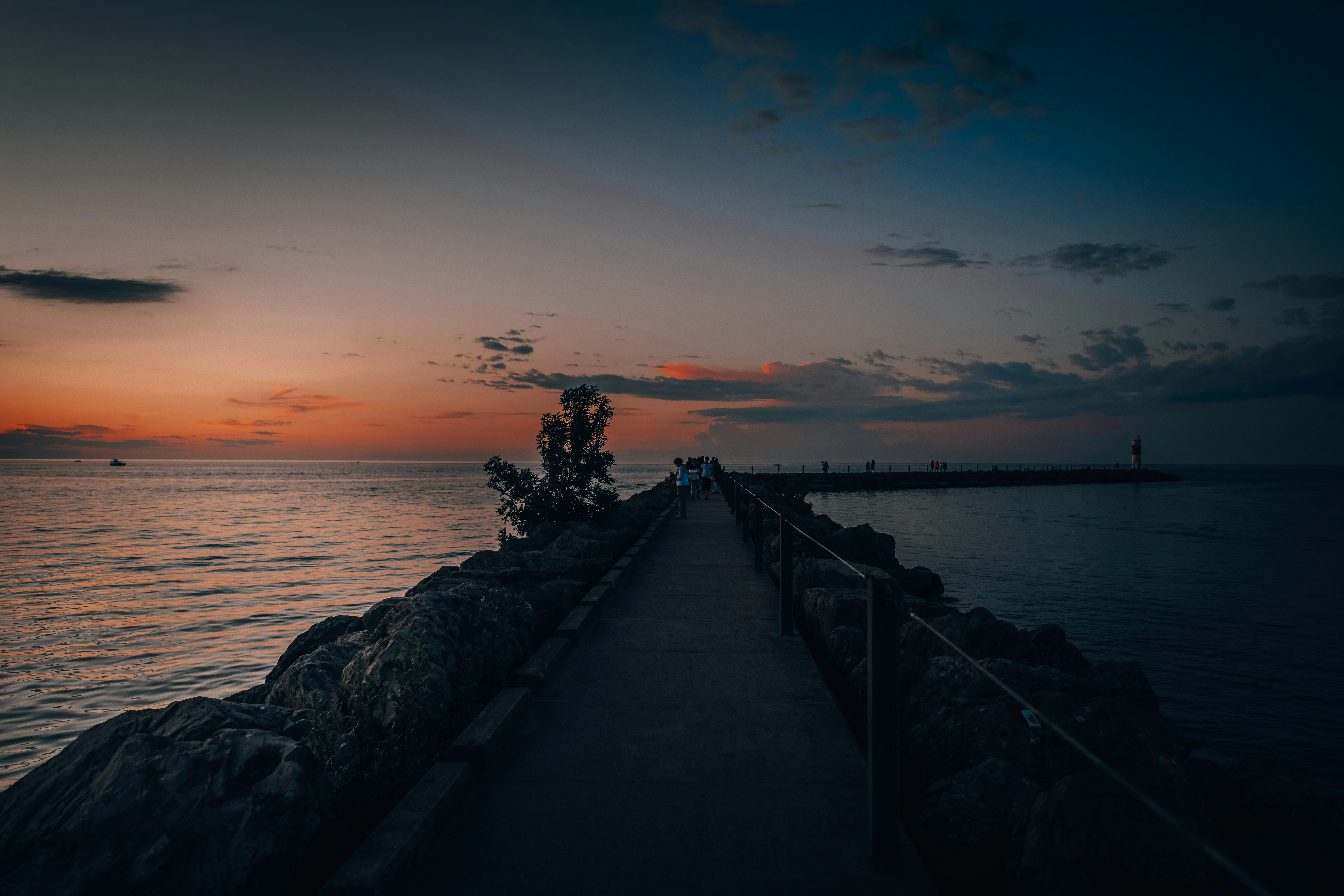 Photo by catparkerphoto