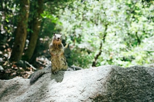 In-Depth Comparison of Tabnine and Supermaven: Code Smarter, Not Harder!