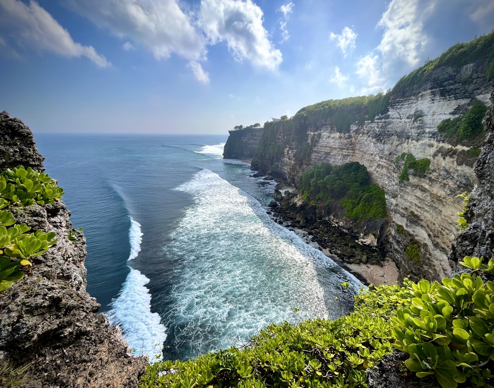 a body of water with a rocky shoreline and trees on the side with Bempton Cliffs in the background