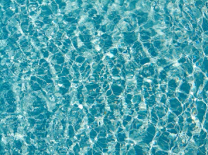 a group of people swimming in the ocean