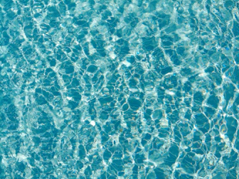 a group of people swimming in the ocean