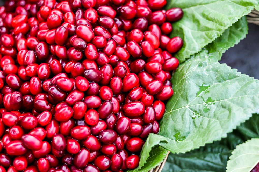 a group of red berries