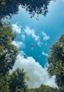 A commercial airplane flies overhead, framed by lush green foliage and trees. The sky is bright blue with scattered white clouds, creating a vivid contrast against the greenery.
