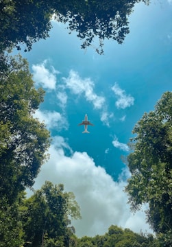 A commercial airplane flies overhead, framed by lush green foliage and trees. The sky is bright blue with scattered white clouds, creating a vivid contrast against the greenery.