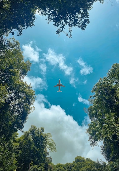 A bright, modern airplane soaring above lush green landscapes under a clear blue sky.