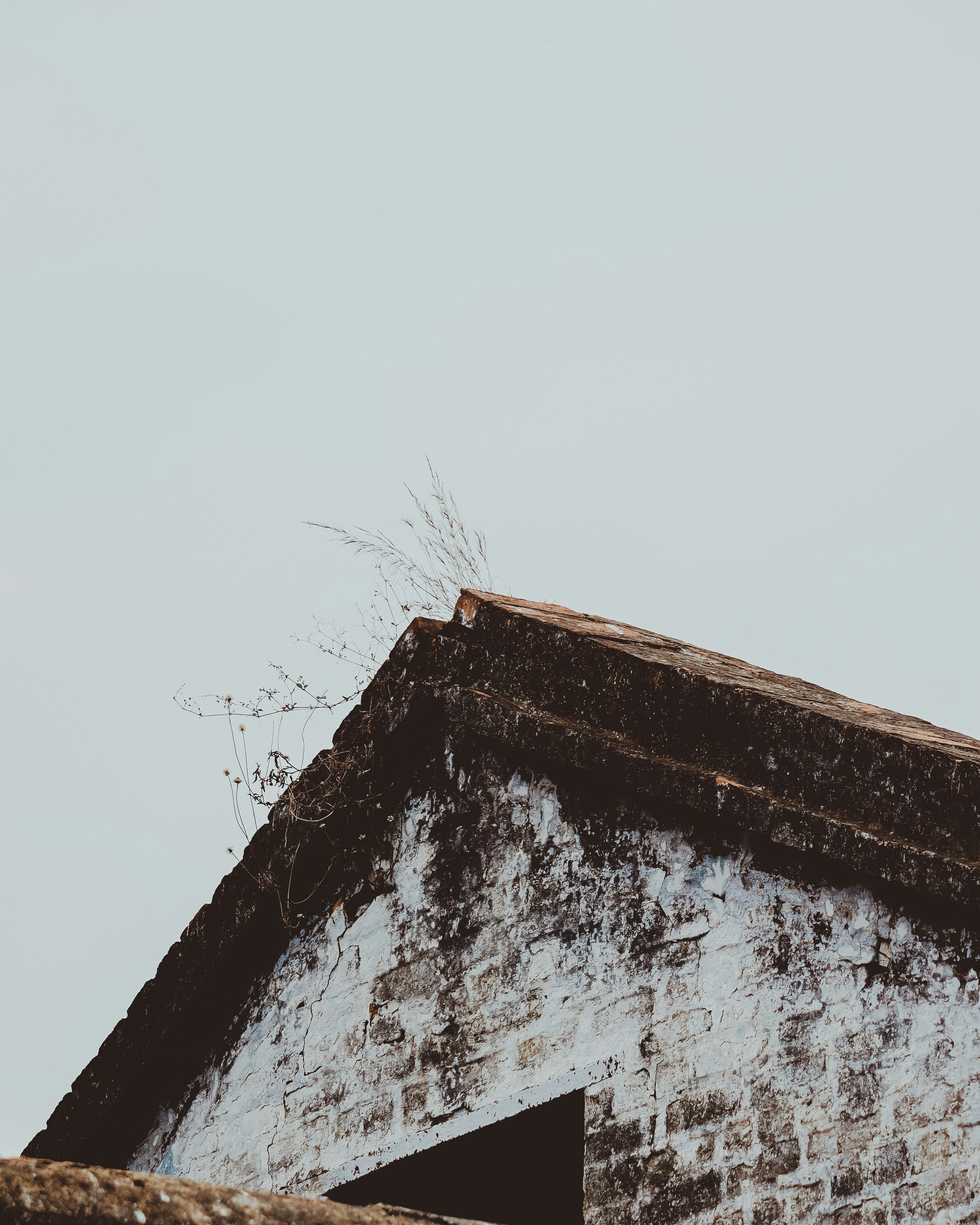 Photo by brajendra_lens_a_lot_