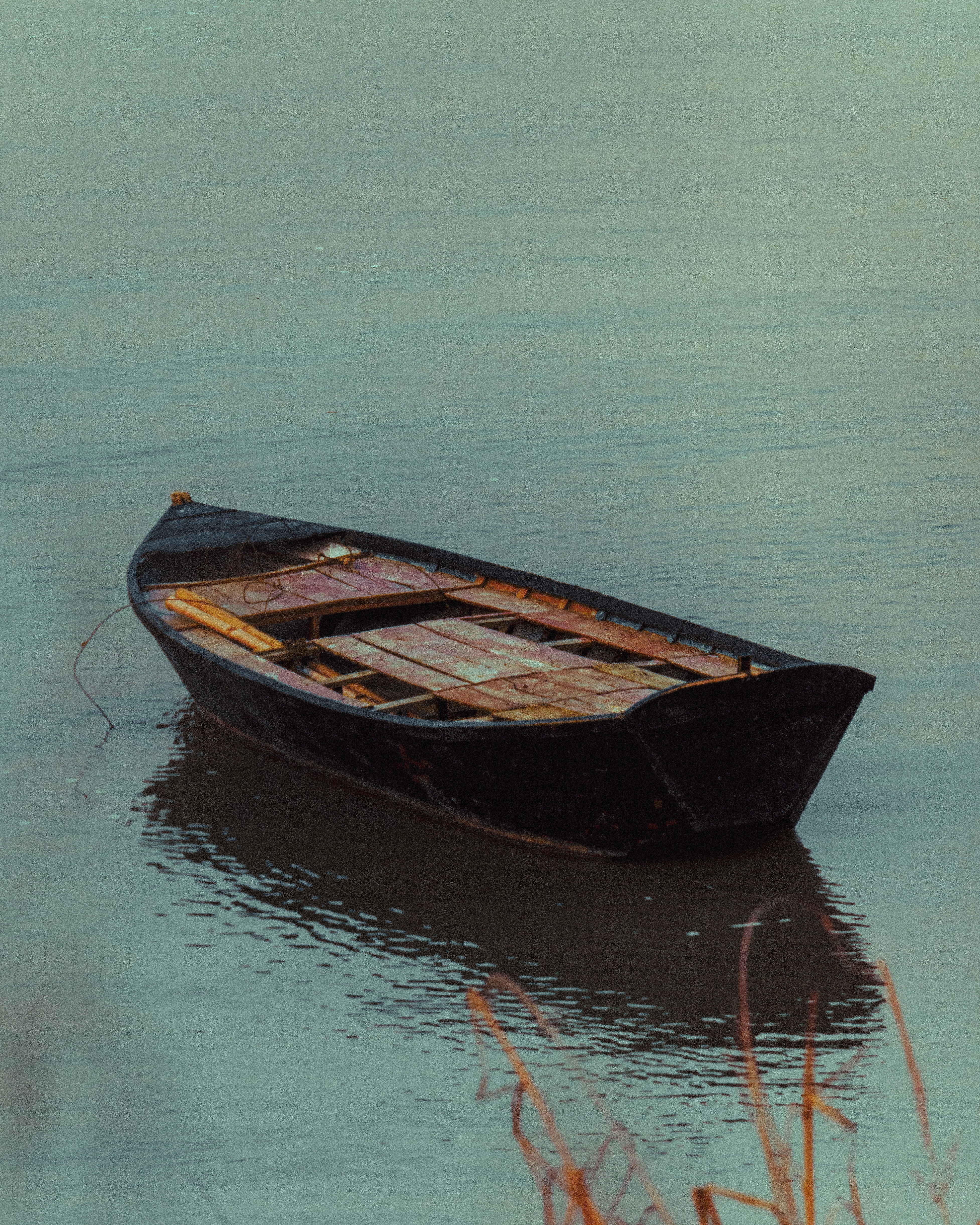 Photo by brajendra_lens_a_lot_