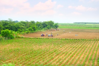 a group of people walking on a dirt path in a field