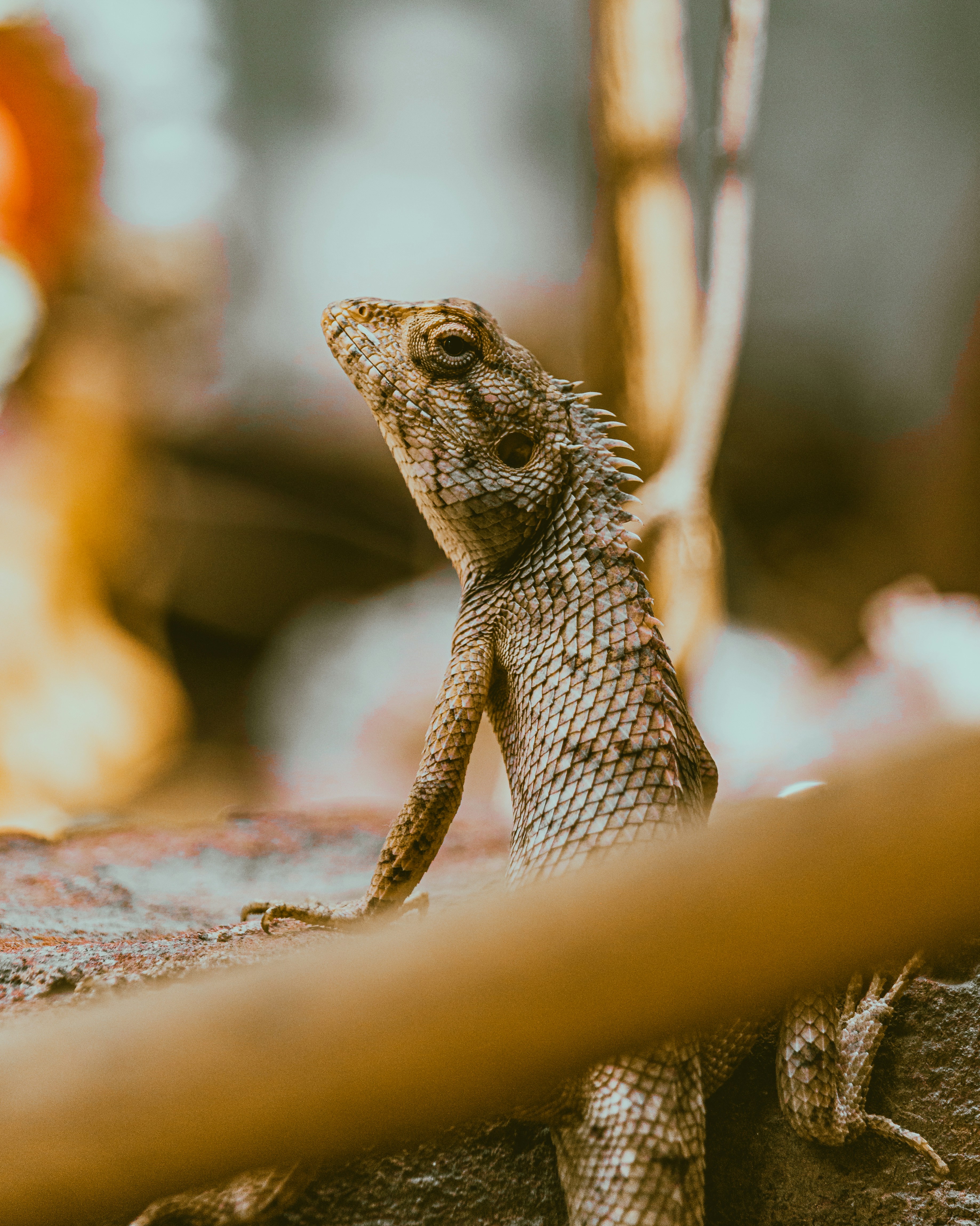 Photo by brajendra_lens_a_lot_