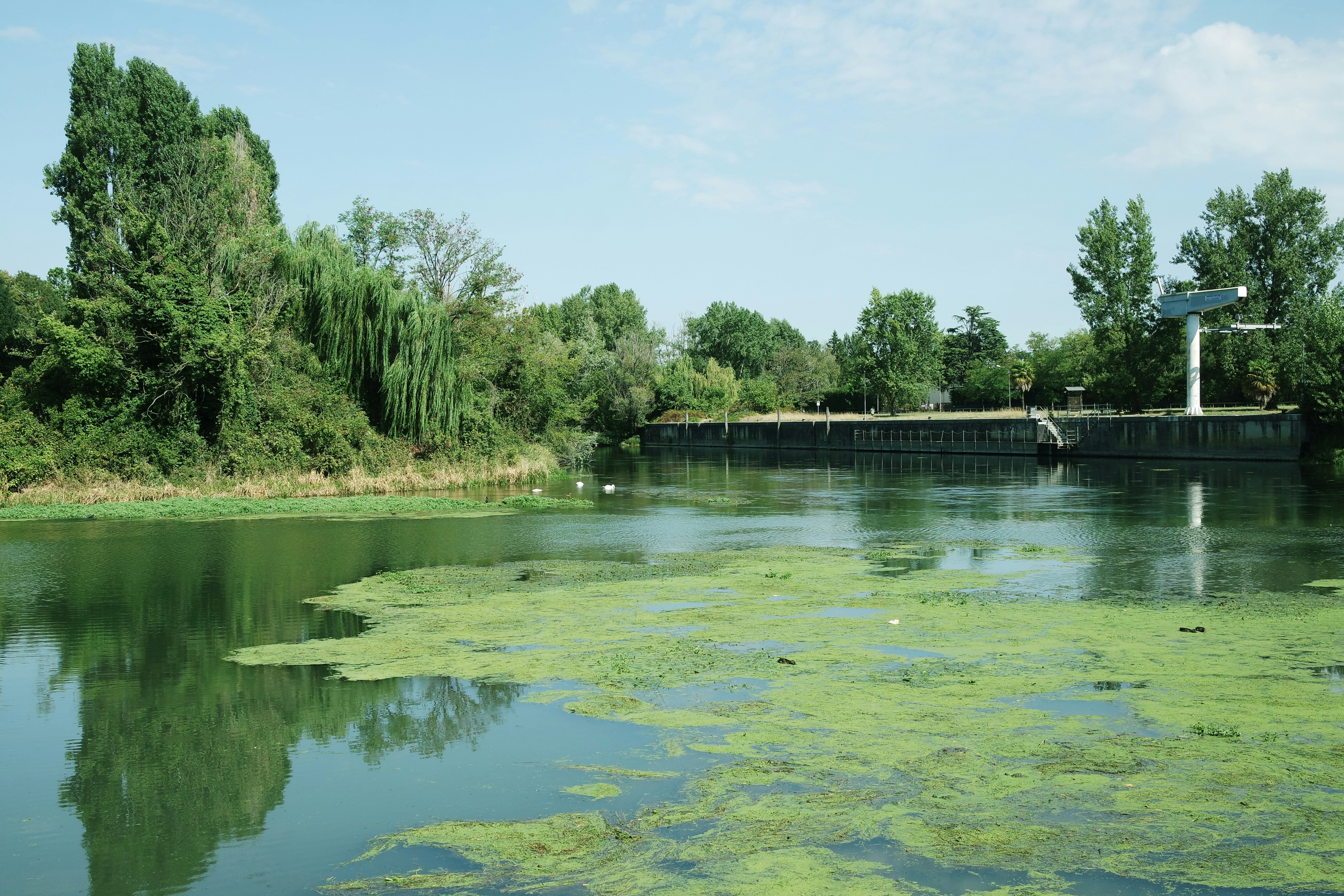 Photo by gvgraphica178