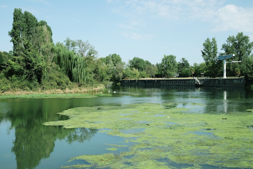 a body of water with trees and a dock