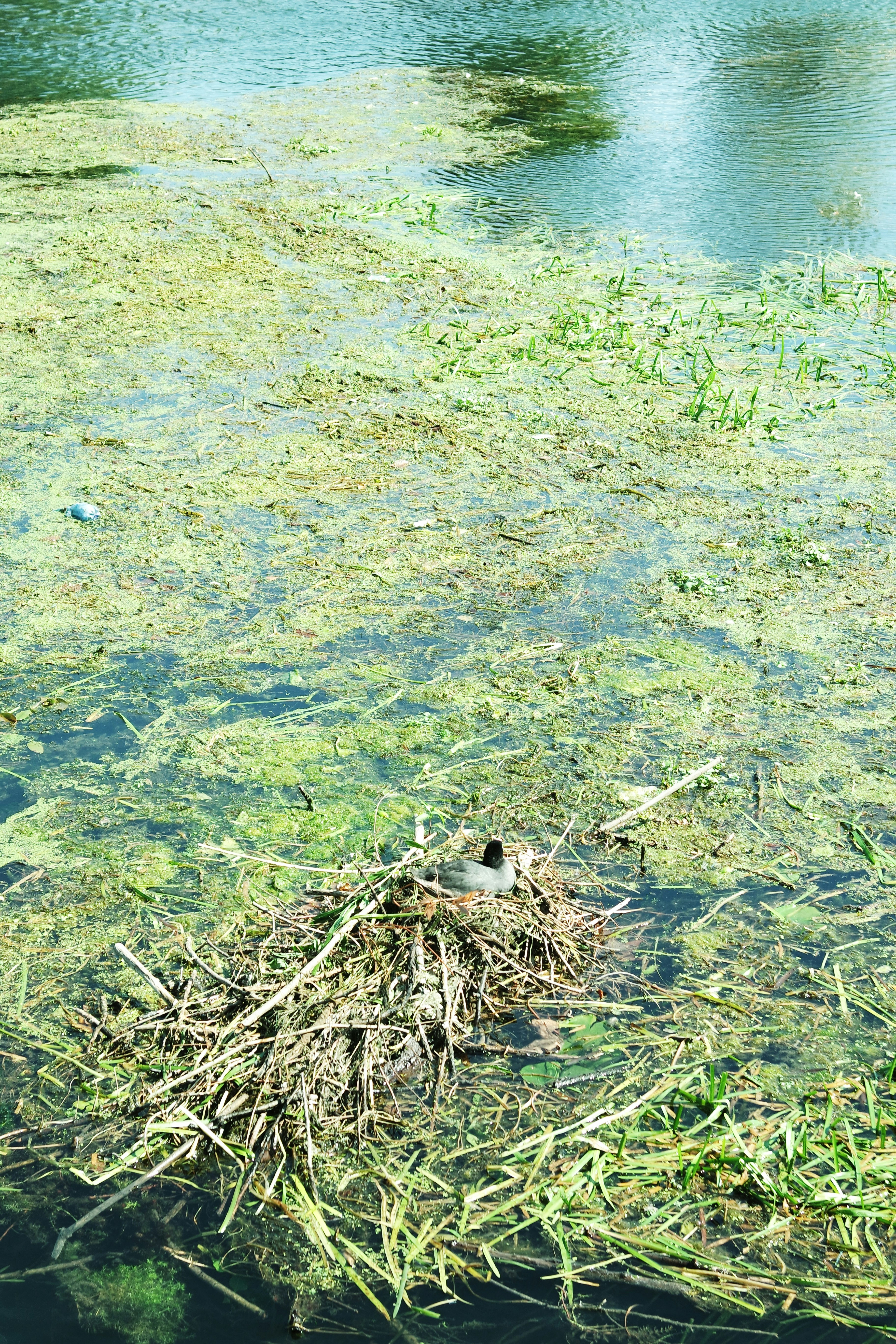 Photo by gvgraphica178