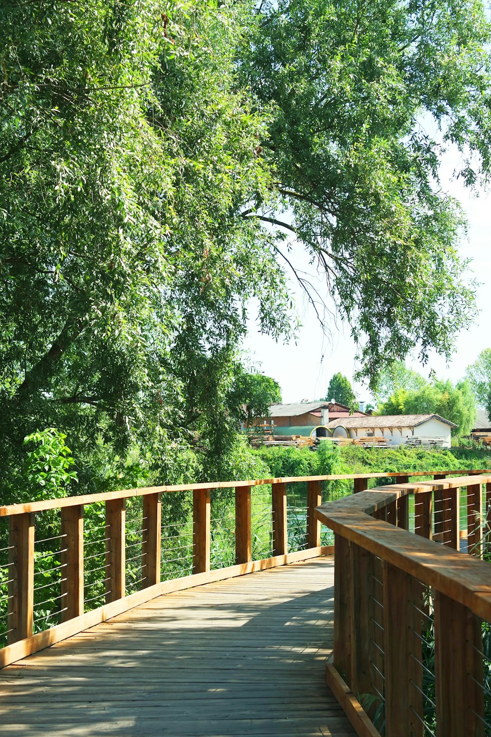 un pont en bois avec des arbres de chaque côté