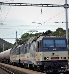 A cargo train with multiple carriages travels on a railway track. The train engine, labeled 'ZSSK Cargo,' has a distinct blue and gray color scheme. Overhead power lines are visible against a cloudy sky, with some greenery and trees in the background.