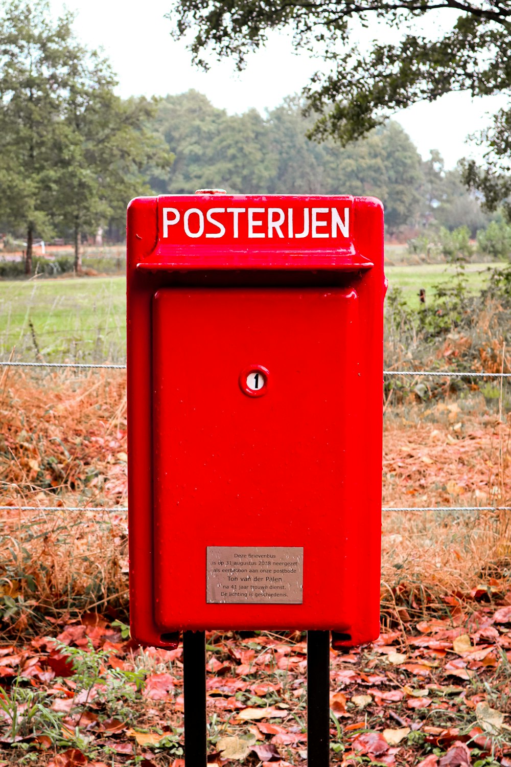 a red mailbox in a park