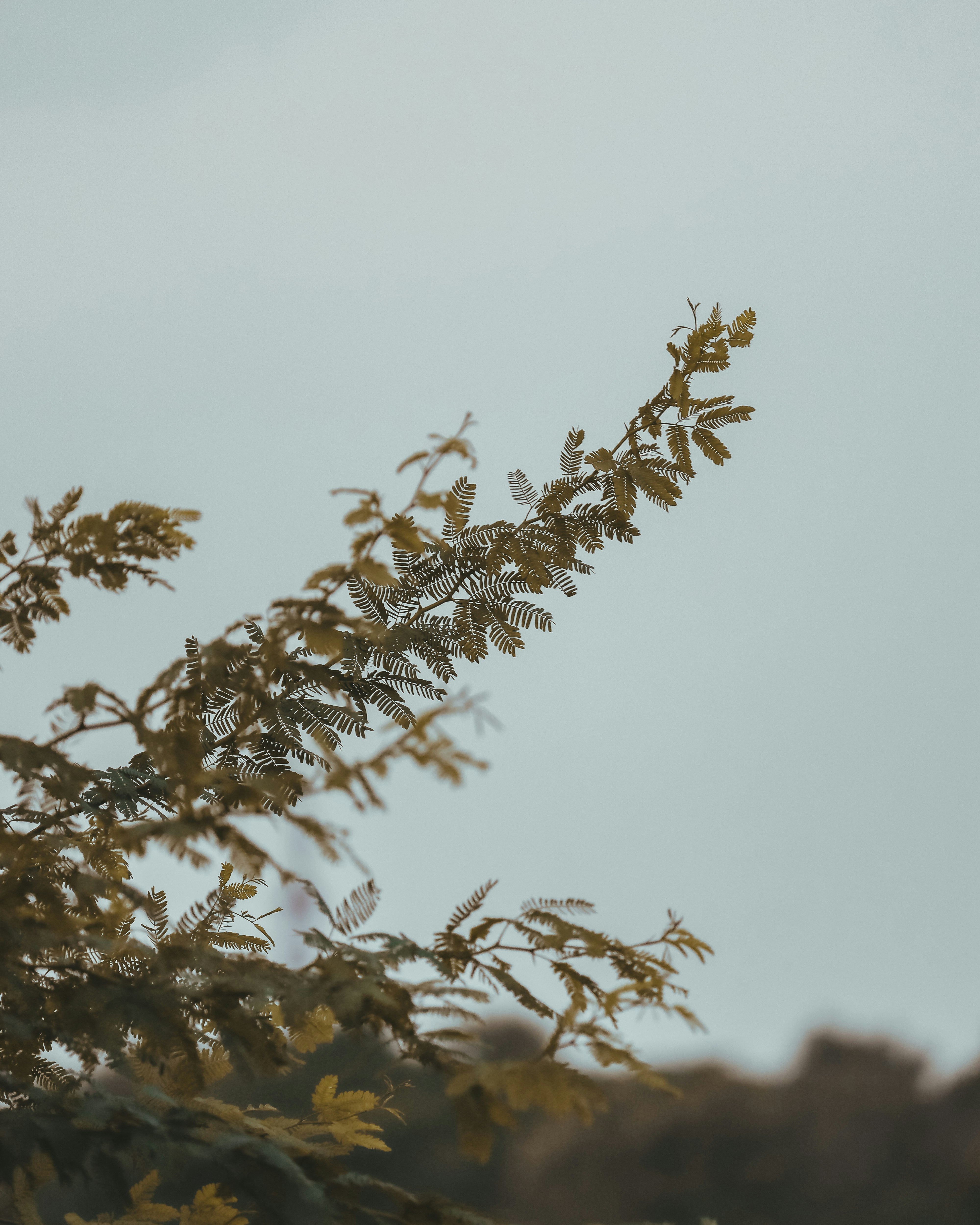 Photo by brajendra_lens_a_lot_