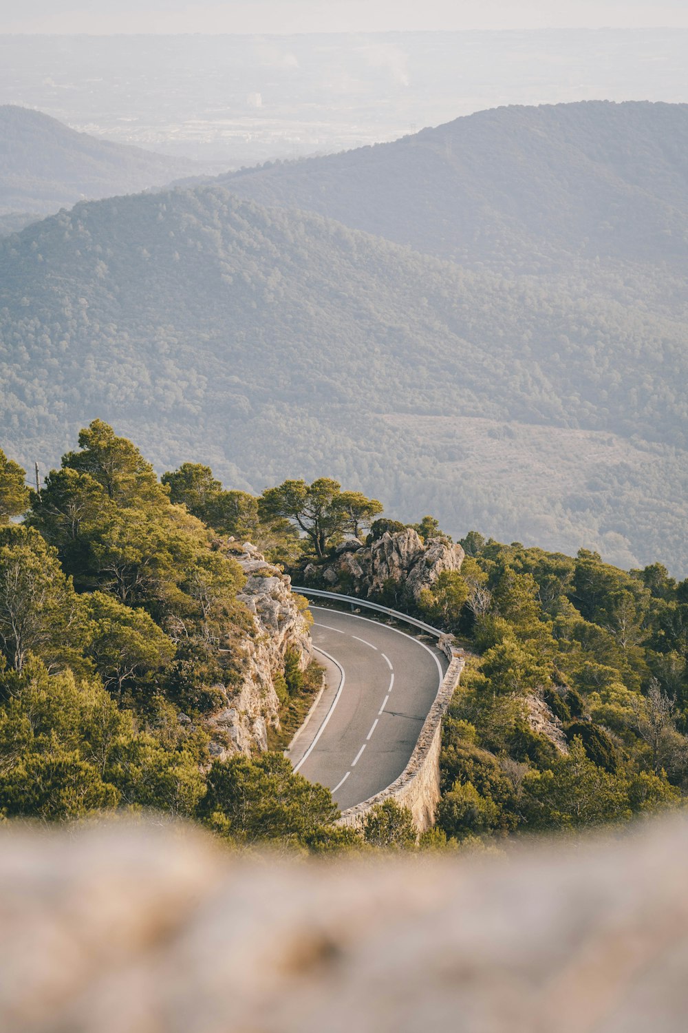 a winding road through a forest