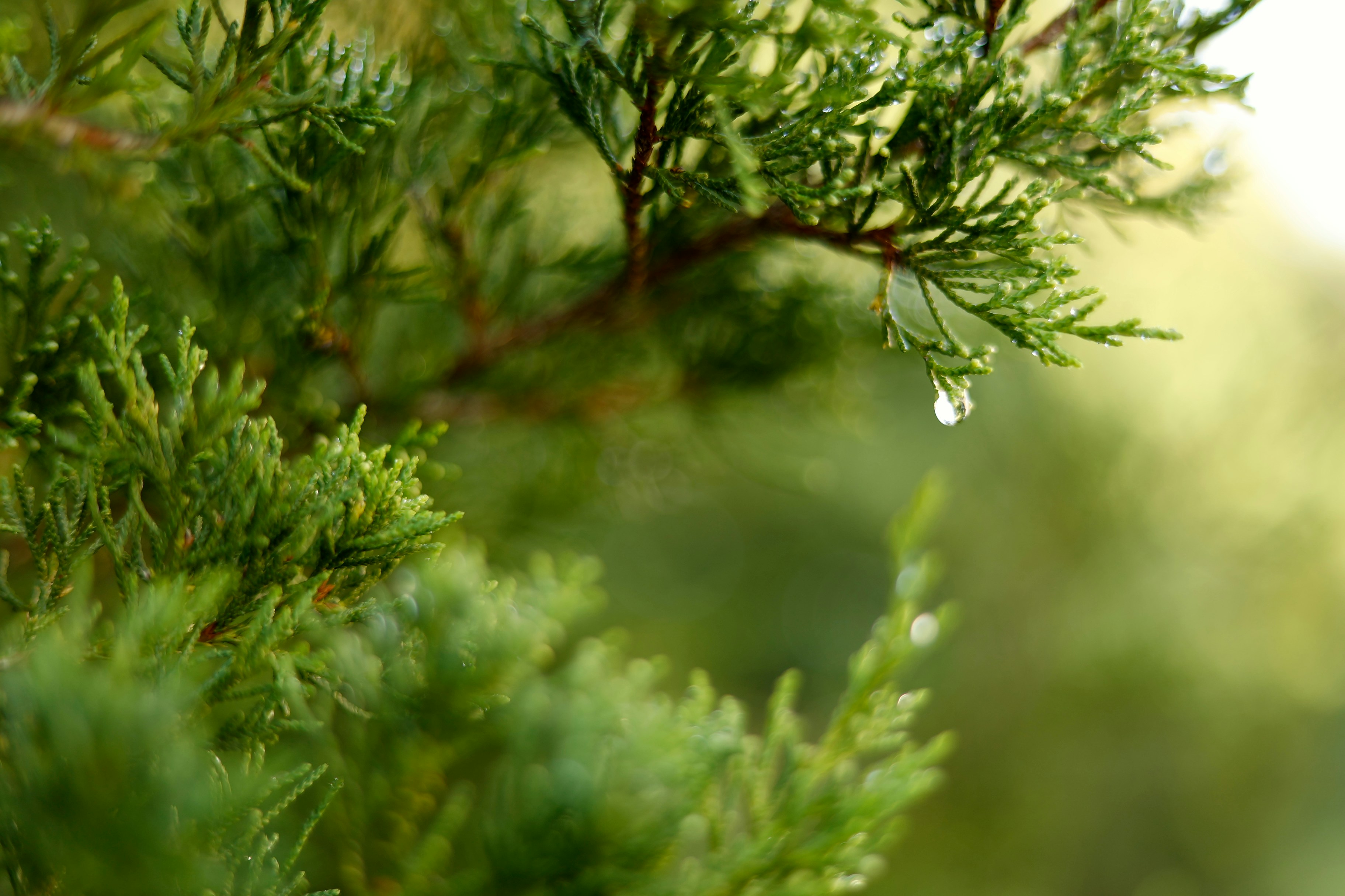 Just in Time Product Management